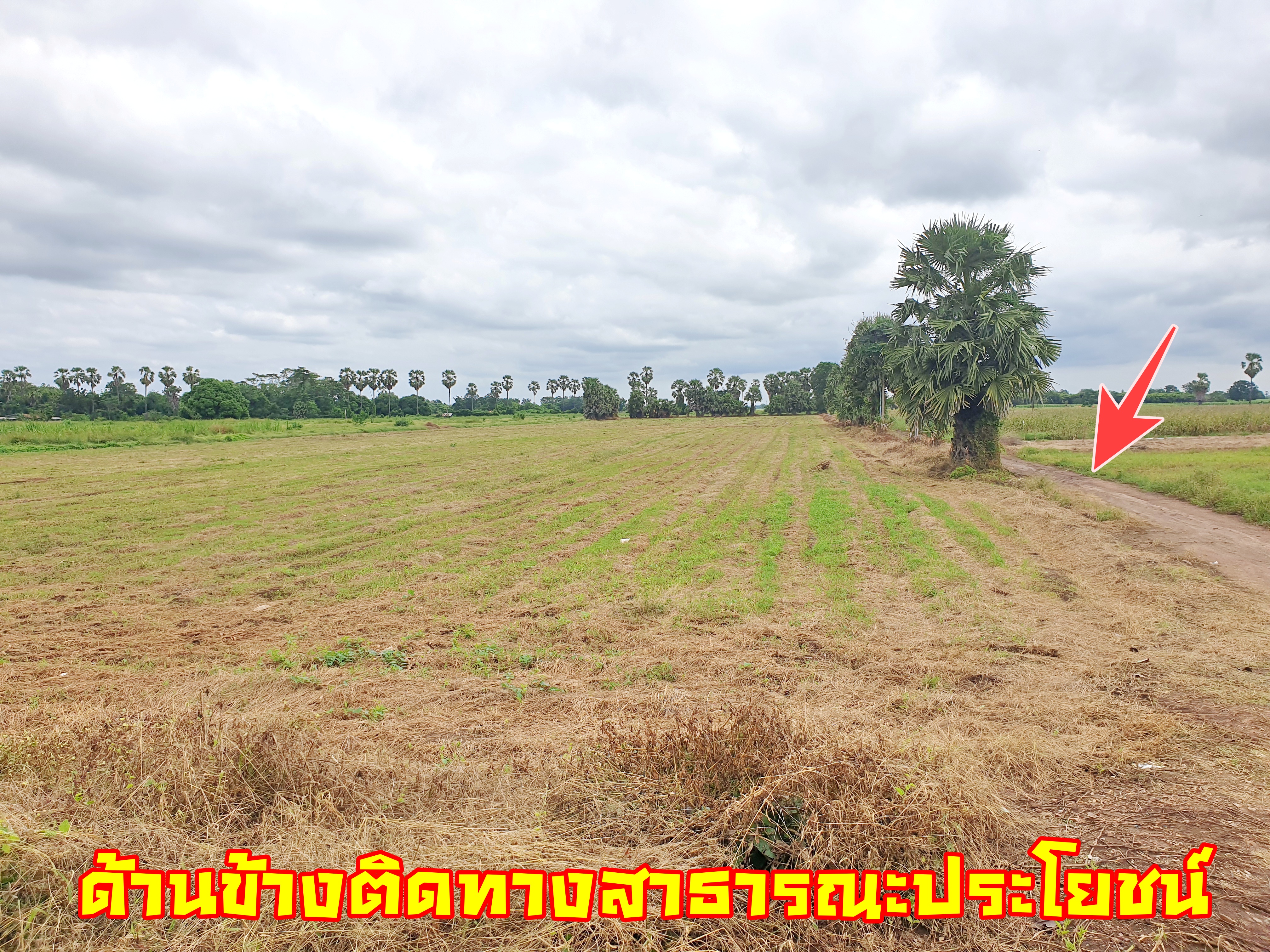 💰ขายแล้ว💰ขายที่ดินติดถนนลาดยาง วิวภูเขา อ.อู่ทอง จ. สุพรรณบุรี เนื้อที่ 9-3-18 ไร่ ขายไร่ละ 2.5 แสน ที่สวยบรรยากาศดี วิวทิวทัศน์สวยงาม ใกล้แหล่งชุมชน น้ำไฟเข้าถึง