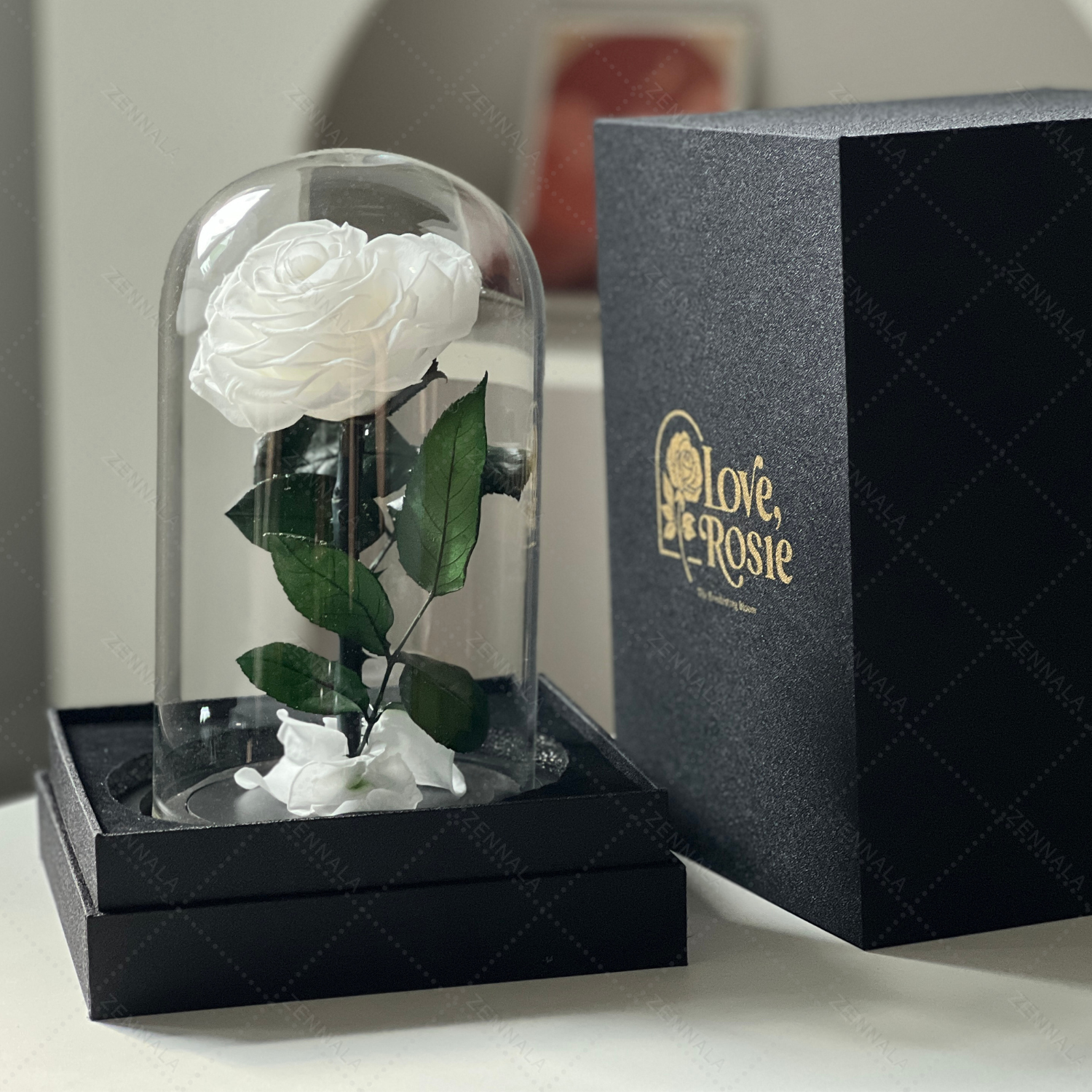 กุหลาบสดในโหลแก้ว ทรงหัวใจ มี 4 สีให้เลือก พร้อมกล่องสุด Premium