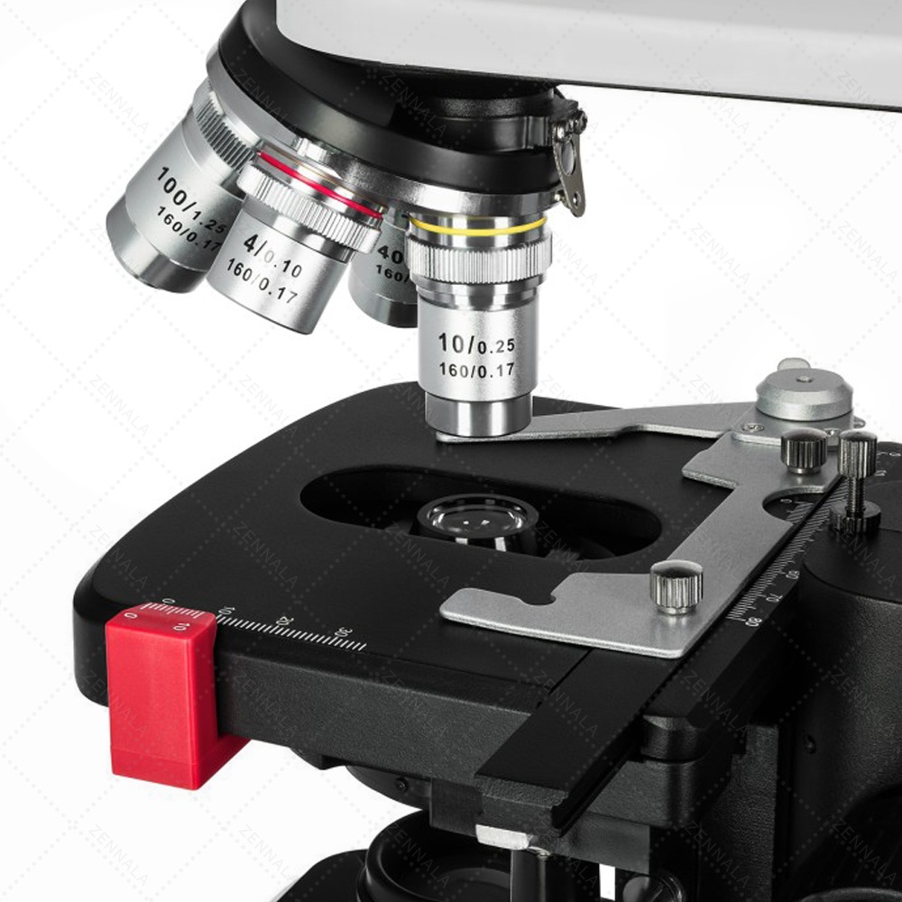 กล้องจุลทรรศน์ 2 ตา Trinocular 2500x มีช่องต่อกล้อง ต่อจอเสริม รุ่น BX25