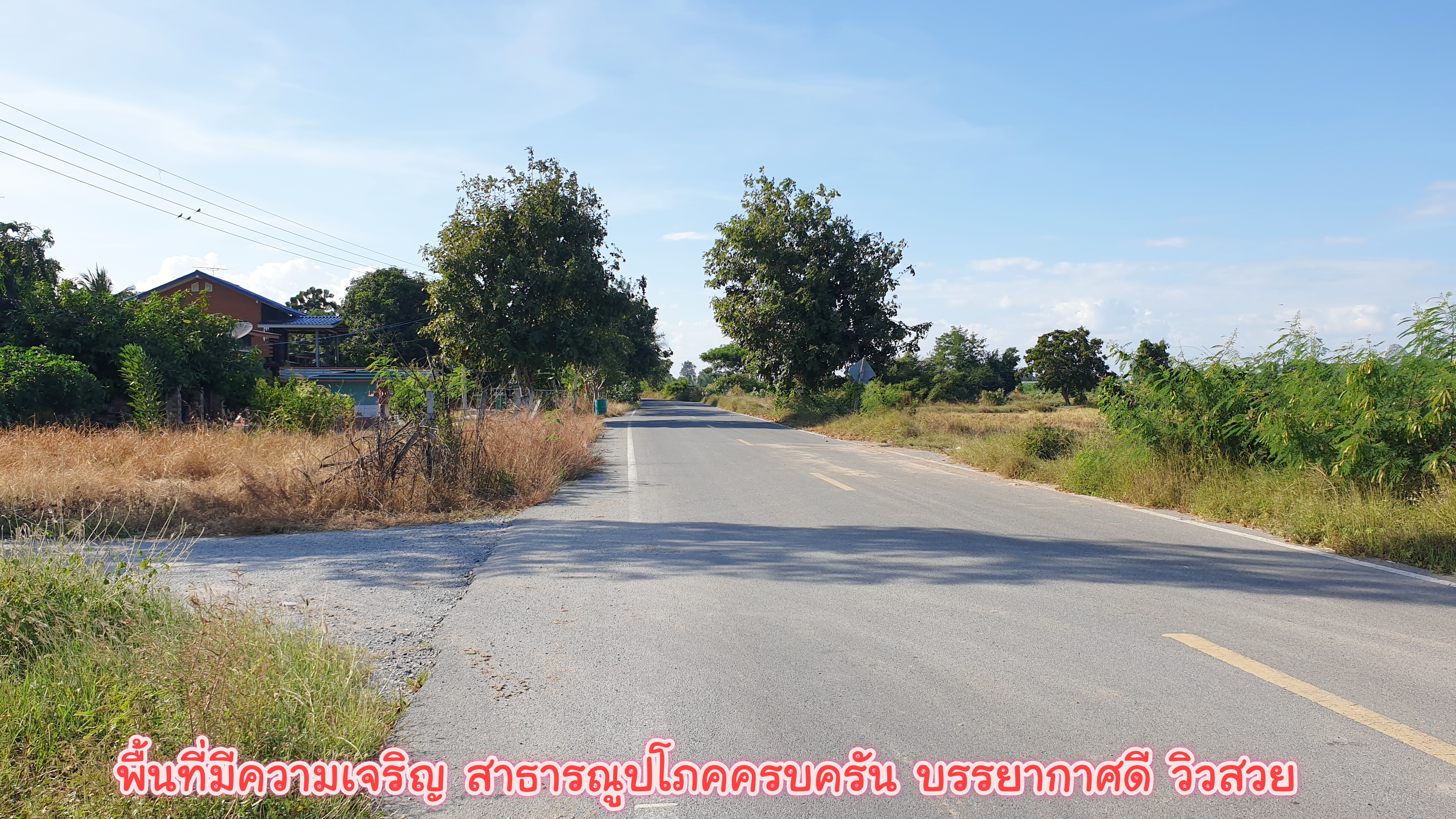 ขายที่ดินแปลงสวย อ.อู่ทอง จ.สุพรรณบุรี ที่ดินเนื้อที่ 3-2-63 ไร่ ขายยกแปลง 1.65 ล้าน รวมค่าโอน ติดถนนลาดยางหน้ากว้างประมาณ 39 เมตร ลึก 180 เมตร ด้านหน้าติดถนนลาดยาง ด้านท้ายติดลำห้วย ทางหลวงแผ่นดินสายอู่ทอง- สระกระโจม (สาย 333) เข้ามา 500 เมตร