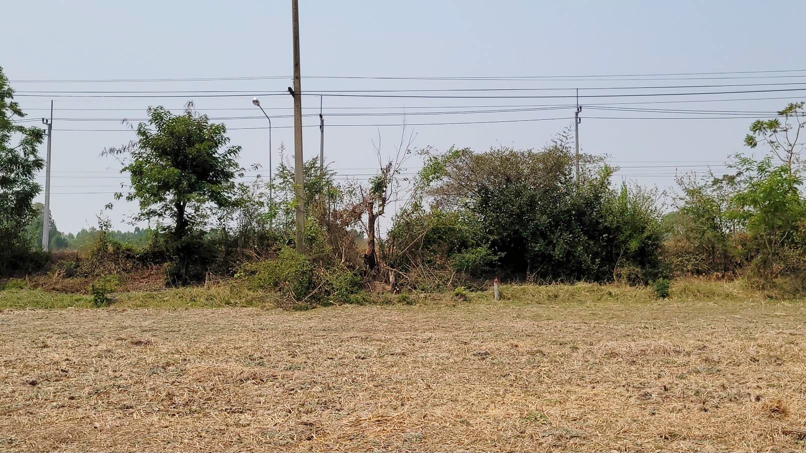 ðāļāļīāļāļāļĢāļąāļāļĒāđð āļĢāļĩāļāļāļĨāļąāļāļāļ°āļāđāļāļ āļāļēāļĒāļāļĩāđāļāļīāļāļāļāļāļāļēāļāļŦāļĨāļ§āļāđāļāđāļāļāļīāļ 333 āļāļđāđāļāļāļ-āļŠāļĢāļ°āļāļĢāļ°āđāļāļĄ (āđāļāļĢāļāļāļēāļĢāļāļĒāļēāļĒ 4 āđāļĨāļāđāļĢāđāļ§āđāļāļĩāđ) āđāļāļ·āđāļāļāļĩāđ 4 āđāļĢāđ 3 āļāļēāļ 92 āļāļēāļĢāļēāļāļ§āļē āļāļēāļĒāđāļĢāđāļĨāļ° 949,000 āļāļēāļ/āđāļĢāđ āļŦāļāđāļēāļāļ§āđāļēāļāļāļīāļāļāļāļ 48 āđāļĄāļāļĢāļĨāļķāļ 147 āđāļĄāļāļĢ āļāļģāđāļĨāļāļĩāļāļēāļĒāļāļđāļ āļāđāļēāļāđāļāļĩāļĒāļ āļāļēāļĒāđāļĢāđāļĨāļ° 1.5 āļĨāđāļēāļ