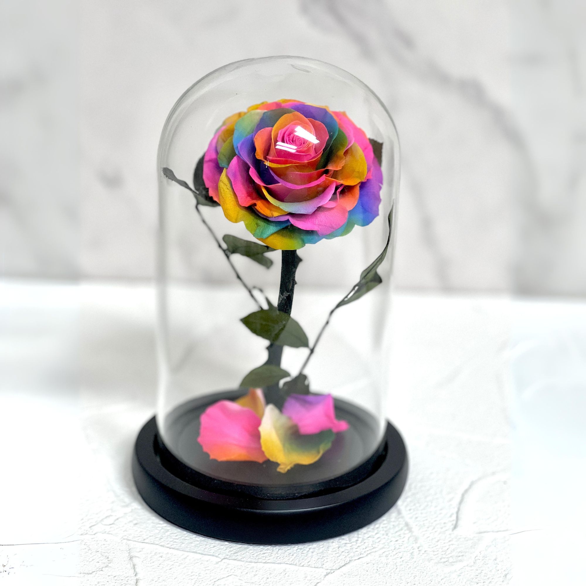 กุหลาบสดในโหลแก้ว 3 ขนาด Size S, M, L พร้อมกล่องสุด Premium