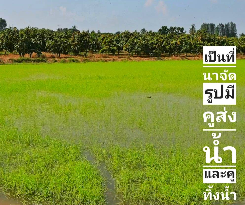 💰ขายแล้ว💰ขายที่ดินแปลงสวย ทำเลดี ติดถนนลาดยาง อ.เมือง จ.สุพรรณบุรี เนื้อที่ 5 ไร่ บรรยากาศดี วิวทิวทัศน์สวยงาม สงบร่มรื่น อยู่ในเขตชุมชน