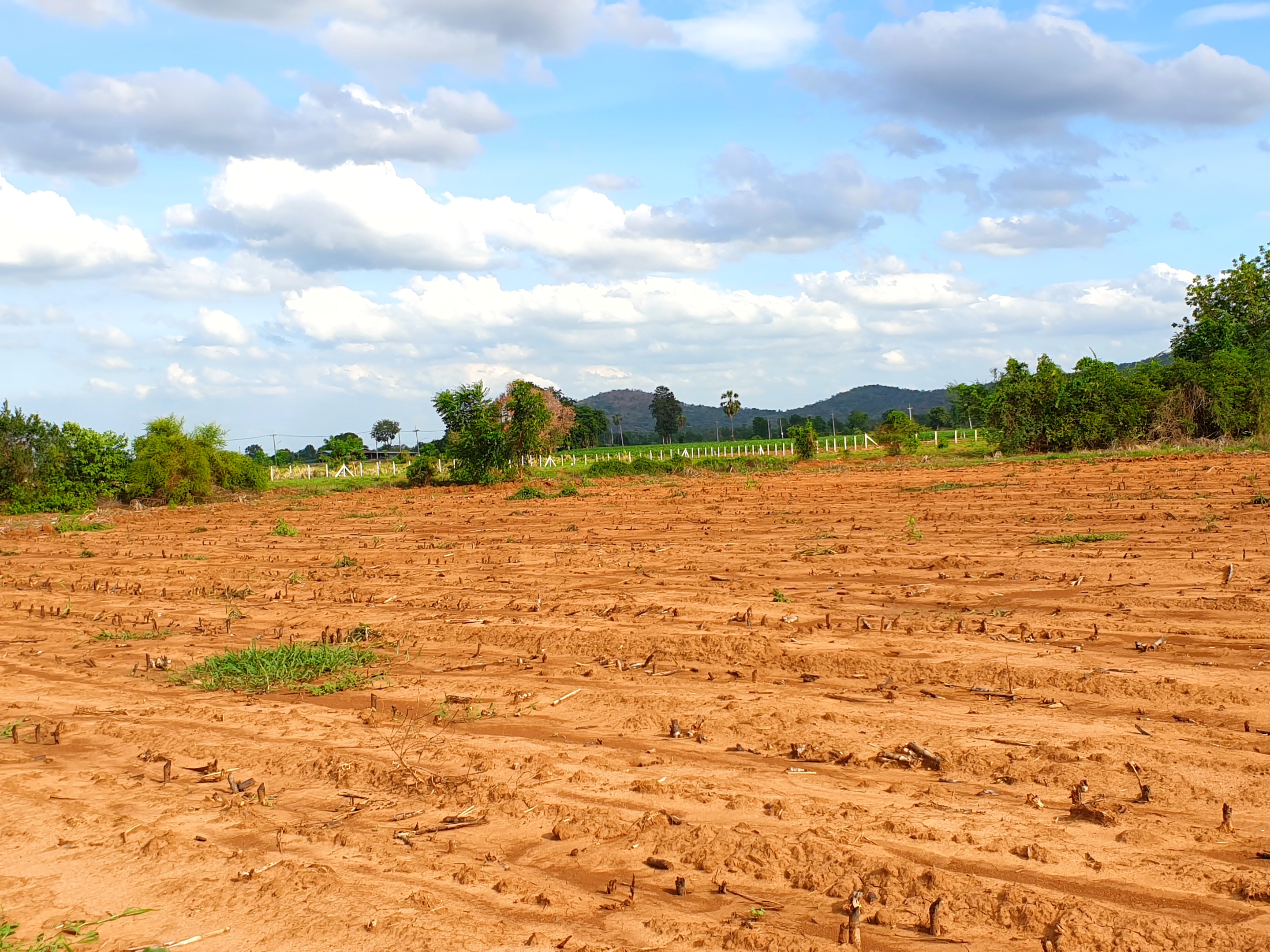 💰ขายแล้ว💰ขายที่ดินสวยราคาถูก อ.อู่ทอง จ.สุพรรณบุรี ดินดี ที่สวย บรรยากาศดี วิวภูเขา เนื้อที่ 16 ไร่ ไร่ละ 180,000 บ. อยู่ใกล้ชุมชน วัด ตลาดนัด ร้านค้า โรงเรียน