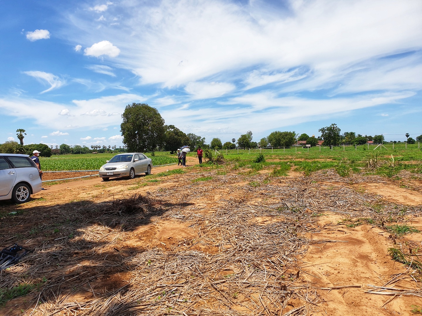 💰ขายแล้ว💰ขายที่ดินสวยราคาถูก อ.อู่ทอง จ.สุพรรณบุรี ดินดี ที่สวย บรรยากาศดี วิวภูเขา เนื้อที่ 16 ไร่ ไร่ละ 180,000 บ. อยู่ใกล้ชุมชน วัด ตลาดนัด ร้านค้า โรงเรียน