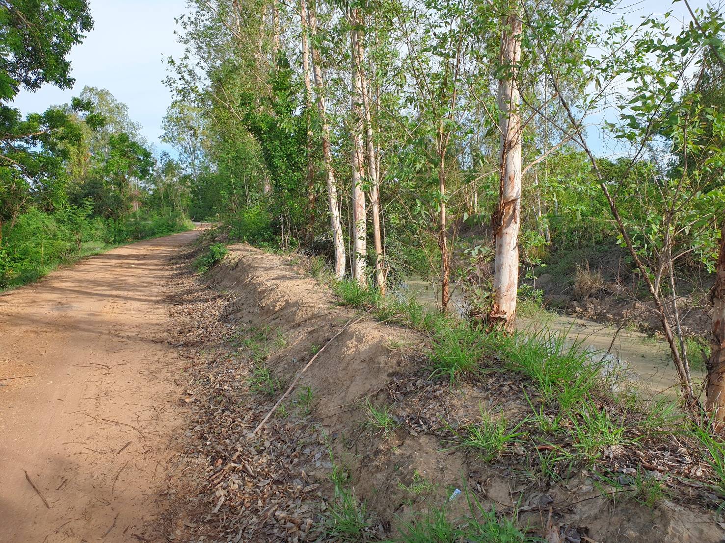 💰ขายแล้ว💰ขายที่ดินทำสวนเกษตร ที่สวย ติดถนน ติดคลอง อ.อู่ทอง จ.สุพรรณบุรี เนื้อที่ 19-1-87 ไร่ ไร่ละ 140,000 บ.