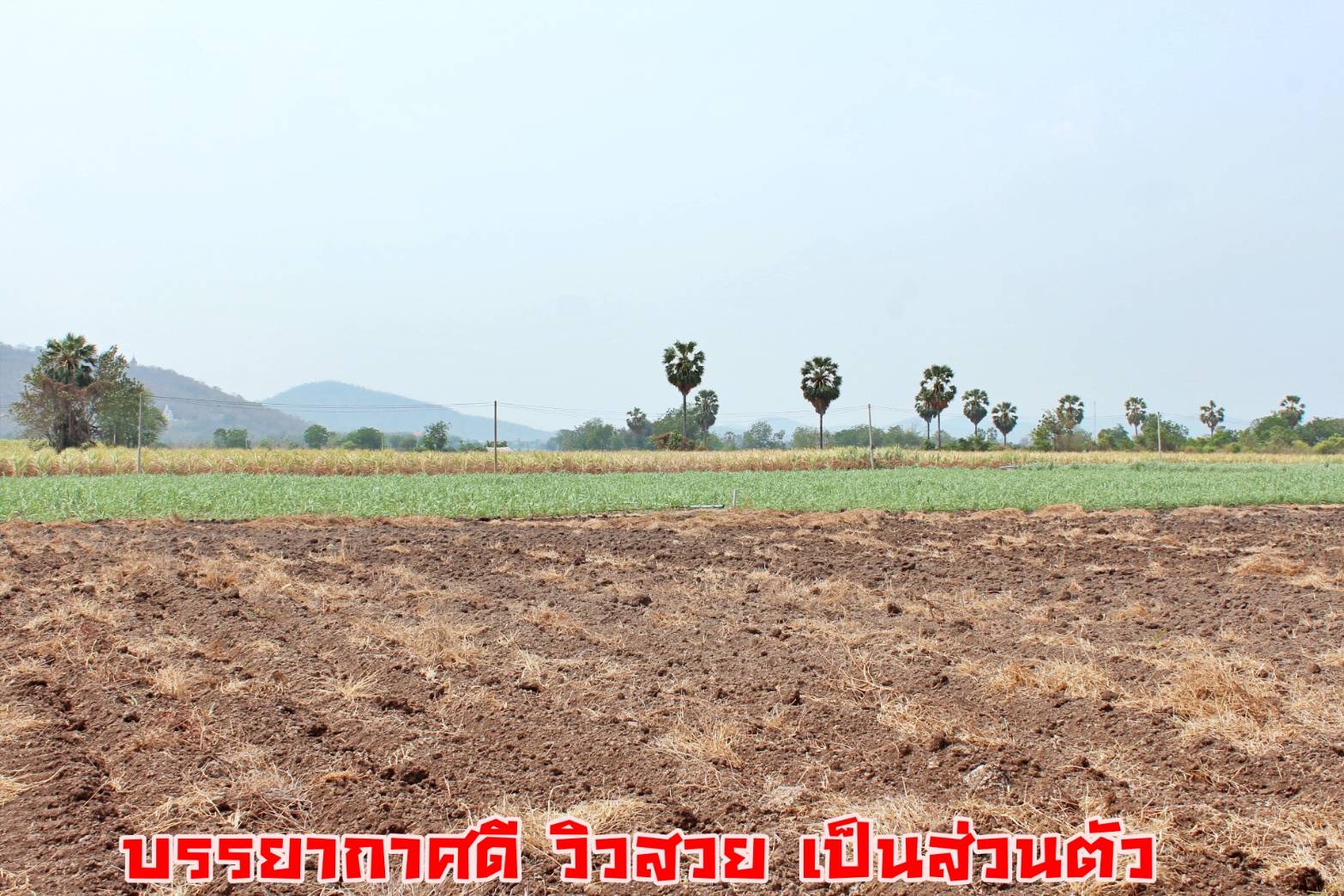 💰ขายแล้ว💰ขายที่ดินแปลงสวย วิวภูเขา เมืองทราวดี อ.อู่ทอง จ.สุพรรณบุรี เนื้อที่ 9ไร่ ไร่ละ 320,000 บ. {ขายยกแปลง}ที่สวย บรรยากาศดี วิวทิวทัศน์สวยงาม ⚜ติดถนนทางสาธารณะ กว้าง 7 เมตร สาธารณูปโภคครบครัน อยู่ใกล้แหล่งชุมชน