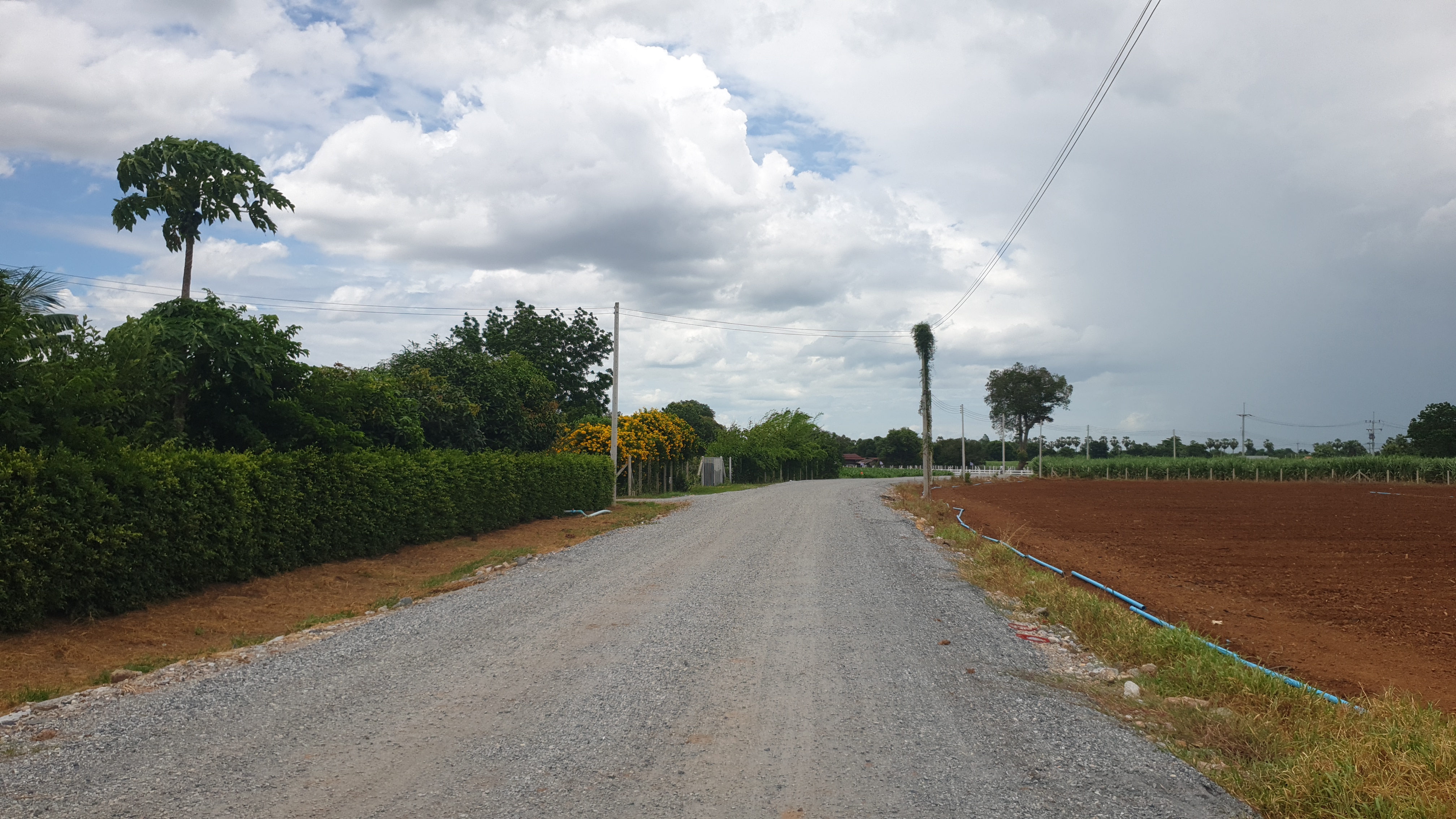 ขายที่ดินสวย 12 ไร่ 2 งาน 53.5 ตร.ว. หน้ากว้างติดถนนสาธารณะ 193 ม. วิวภูเขา 180° อากาศดี เงียบสงบ เหมาะทำบ้านพัก รีสอร์ต หรือเกษตรครบวงจร โอบล้อมด้วยทิวเขา 180° วิวอลังการเต็มตา บรรยากาศธรรมชาติสุดฟิน