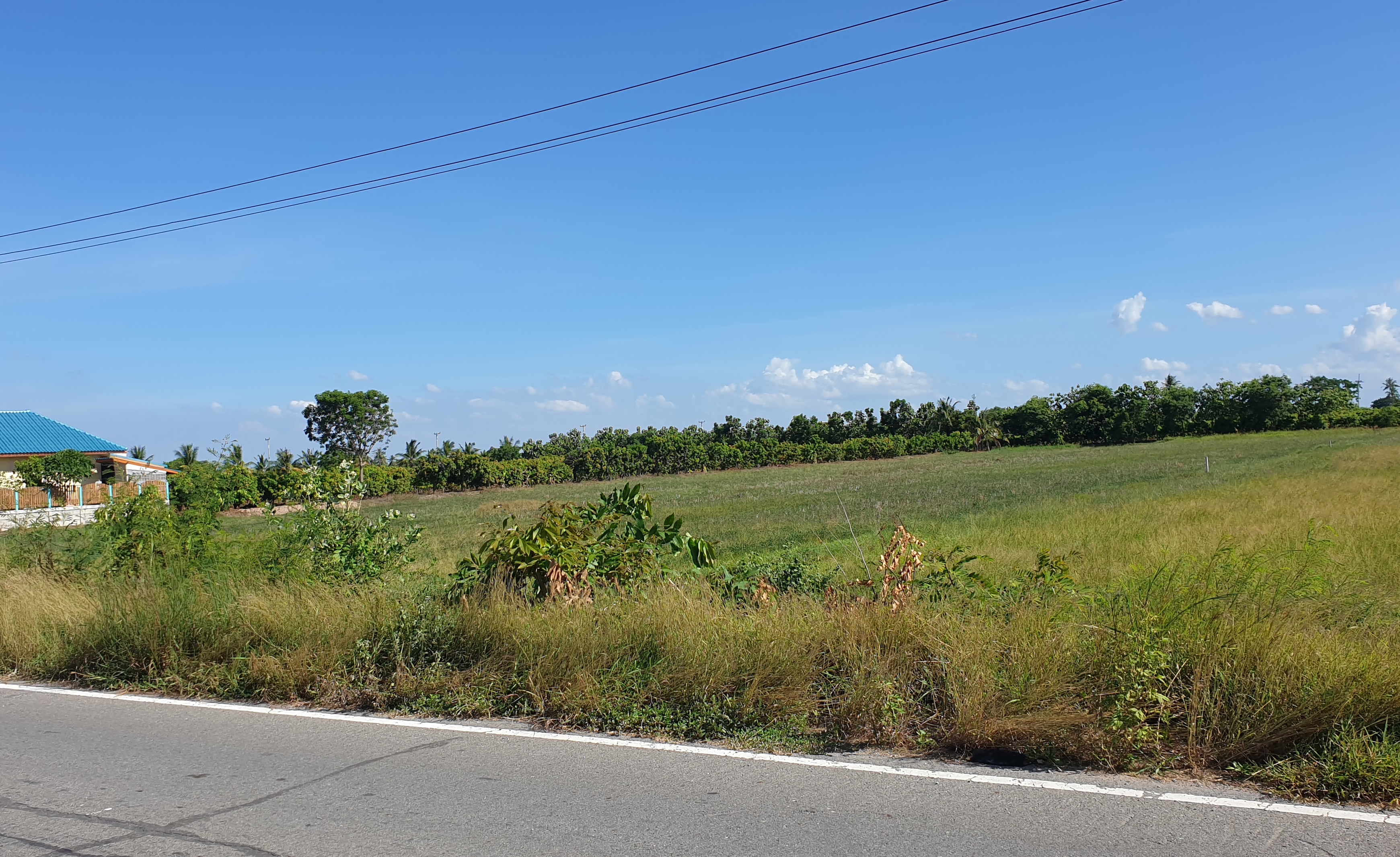 🌌ติดทรัพย์🌌ขายที่ดินติดถนนลาดยาง อ.เมือง จ.สุพรรณบุรี เนื้อที่ 4 ไร่ 2 งาน หน้ากว้างติดถนน 36 เมตร ลึก 195 เมตร อยู่ใกล้ แหล่งน้ำคลองมะขามเฒ่า น้ำอุดมสมบุรณ์ตลอดปี อยู่ใกล้ชุมชน เหมาะปลูกบ้านทำสวนเกษตร ยามเกษียณ หรือเปิดร้านอาหารท่ามกลางธร