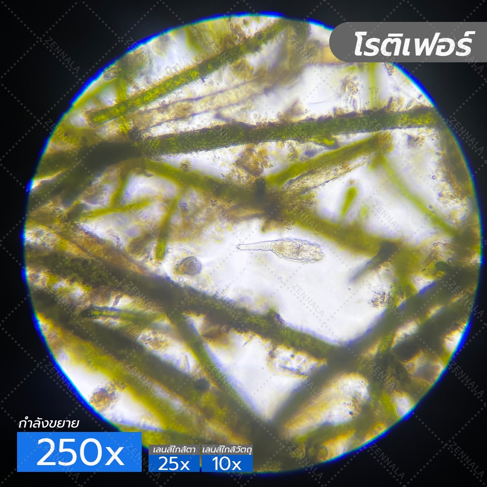 กล้องจุลทรรศน์ 2 ตา Trinocular 2500x มีช่องต่อกล้อง ต่อจอเสริม รุ่น BX25