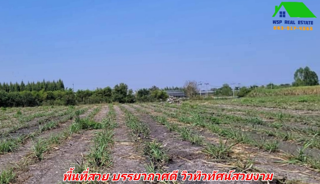 #ขายแล้ว ขายที่ดินแปลงสวย วิวภูเขา ติดถนนลาดยาง ทางสาธารณะ 2 ด้าน ใกล้สถานที่ท่องเที่ยว ตลาดสีเขียว ณ สวนสวรรค์สุพรรณบุรี ทุ่งทานตะวัน ทุ่งดอกกระเจียว ต.พลับพลาชัย อ.อู่ทอง จ. สุพรรณบุรี เนื้อที่ 25 ไร่ ไร่ละ 300,000 บ.