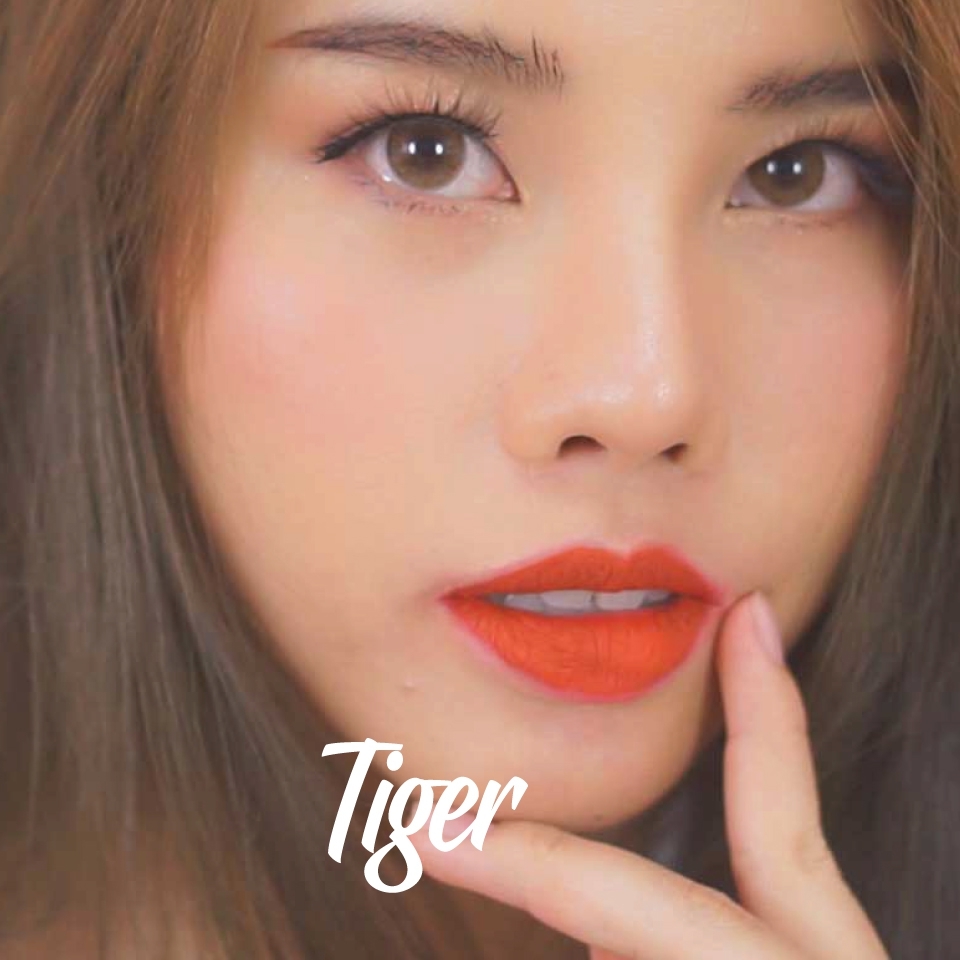 Tiger (NM11)