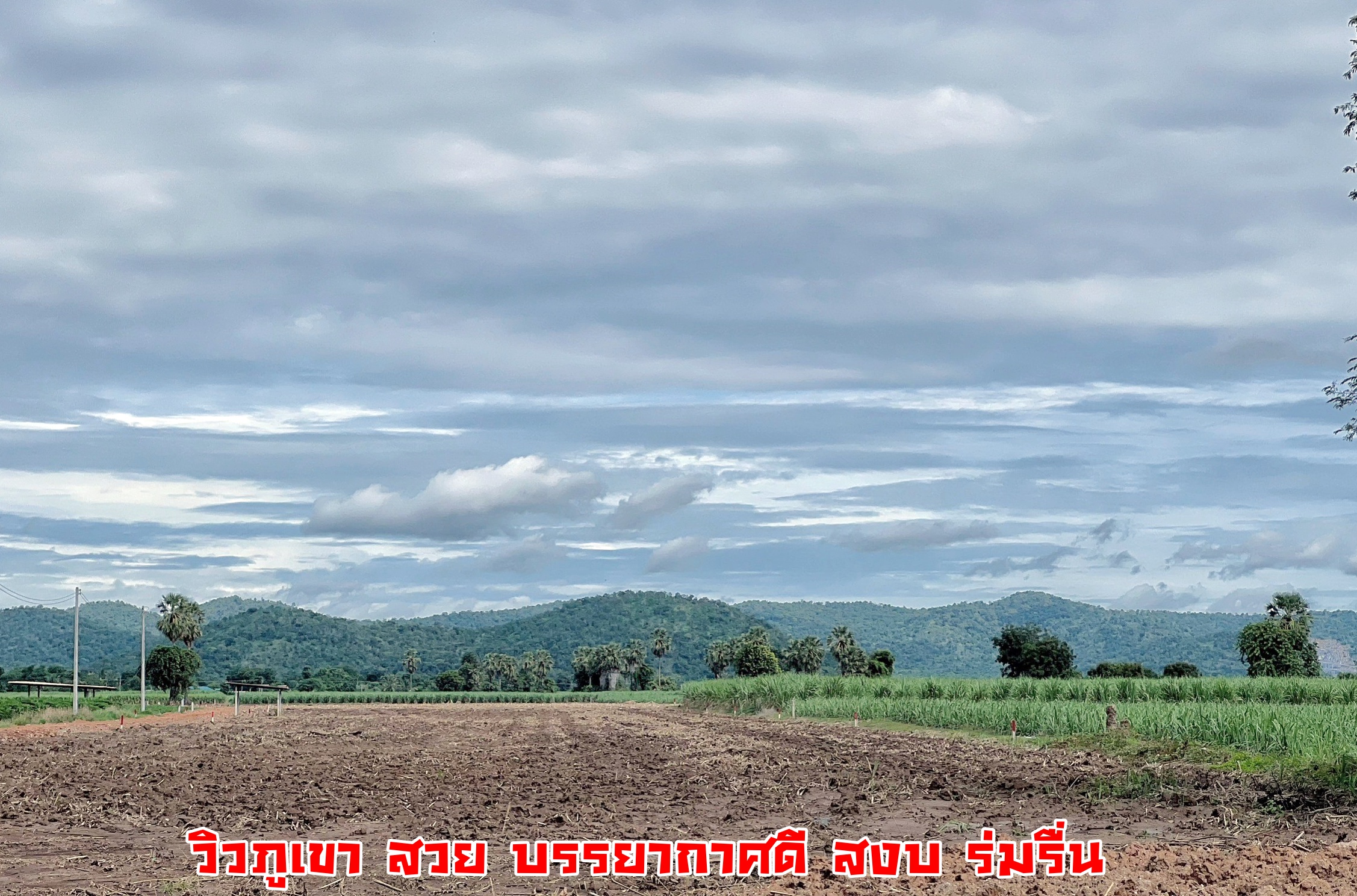 💰ขายแล้ว💰ขายที่ดินวิวเขา อ.อู่ทอง จ.สุพรรณบุรี เนื้อที่ 7 ไร่3 งาน ใกล้กรุงเทพ 110 ก.ม. ใกล้ตลาดอู่ทอง ใจกลางชุมชน ที่สวย บรรยากาศดี วิวทิวทัศน์สวยงาม ราคาถูก ใกล้ตลาดอู่ทอง ไฟฟ้าประปาครบครัน