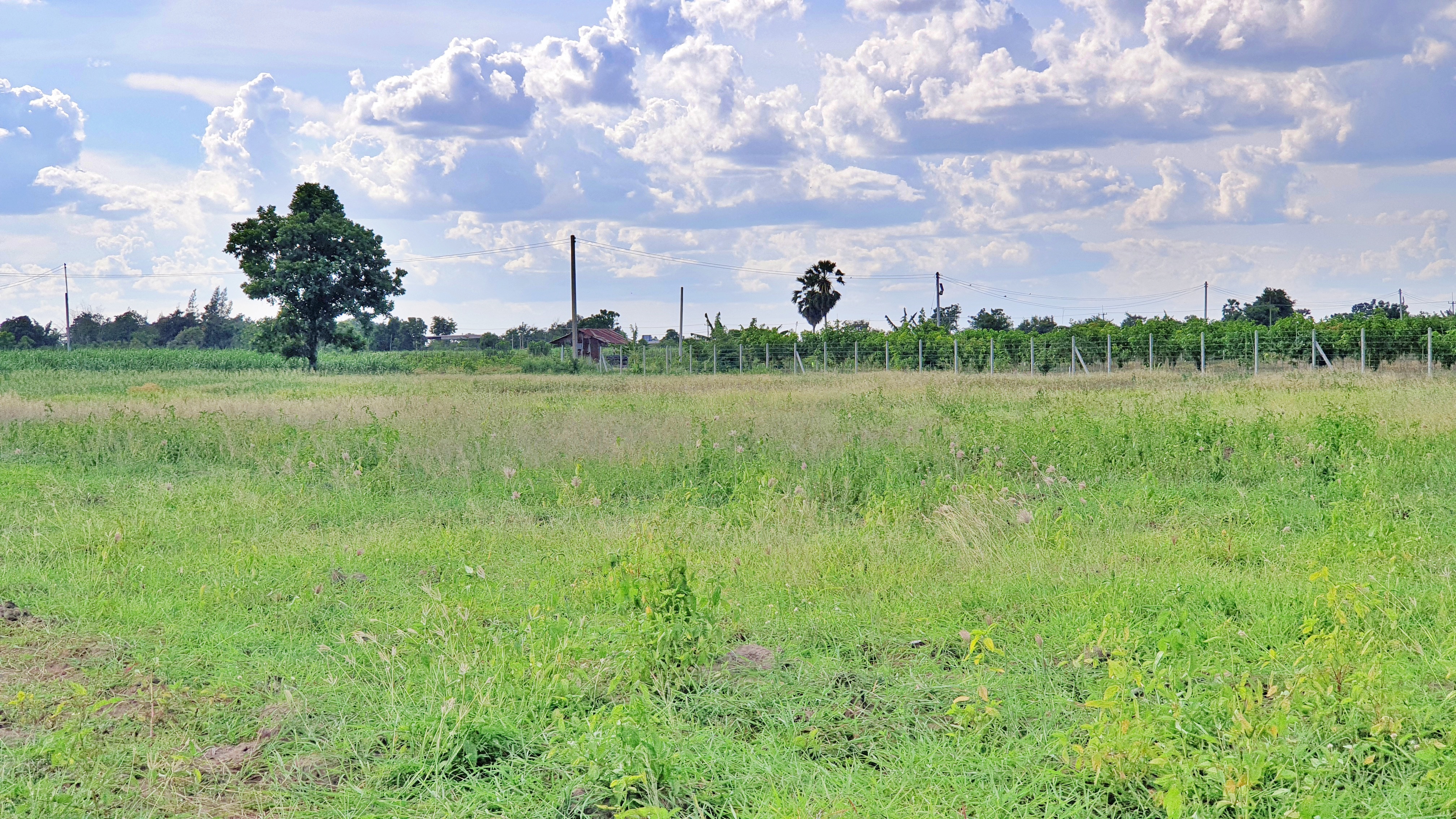 💰ขายแล้ว💰⚜ติดทรัพย์⚜ขายที่ดินแปลงสวย วิวภูเขา บรรยากาศดี อ.อู่ทอง จ.สุพรรณบุรี เนื้อที่ : 34 ไร่ ไร่ละ 2.3 แสน ที่สวยบรรยากาศดี วิวทิวทัศน์สวยงาม วิวภูเขา ใกล้แหล่งชุมชน