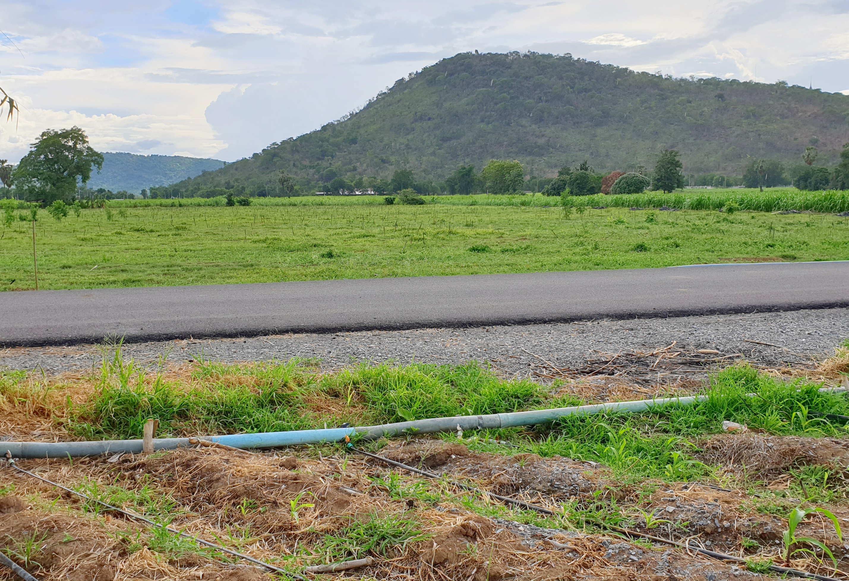 💰ขายแล้ว💰ขายที่ดินวิวสวย ติดถนนลาดยาง บรรยากาศดี วิวทิวทัศน์สวยงาม อ.อู่ทอง จ.สุพรรณบุรี เนื้อที่ 10 ไร่ ราคาไร่ละ 280,000 บาท ด้านหน้าติดถนนลาดยาง เข้า-ออก ได้หลายทาง