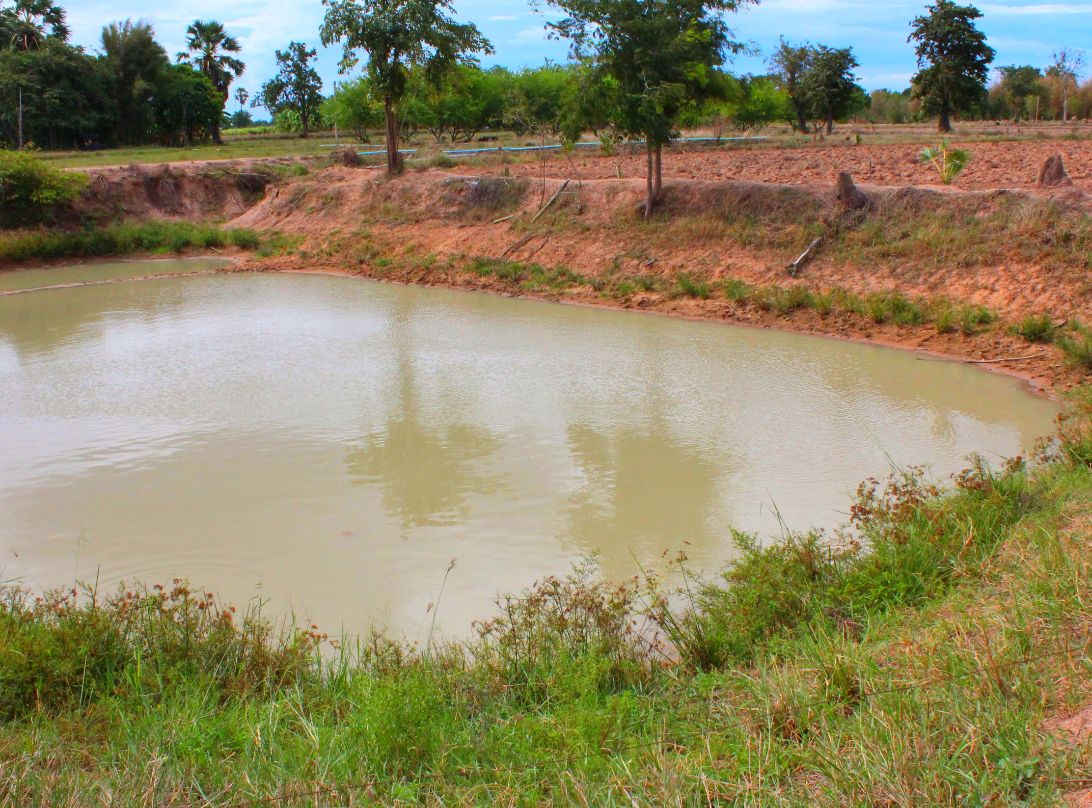 ขายทีดินเปล่า ที่สวย บรรยากาศดี อ.อู่ทอง จ.สุพรรณบุรี เนื้อที่ 37 ไร่ 2 งาน ไร่ละ 165,000 บ. ที่สวยบรรยากาศดี วิวทิวทัศน์สวยงาม ใกล้แหล่งชุมชน