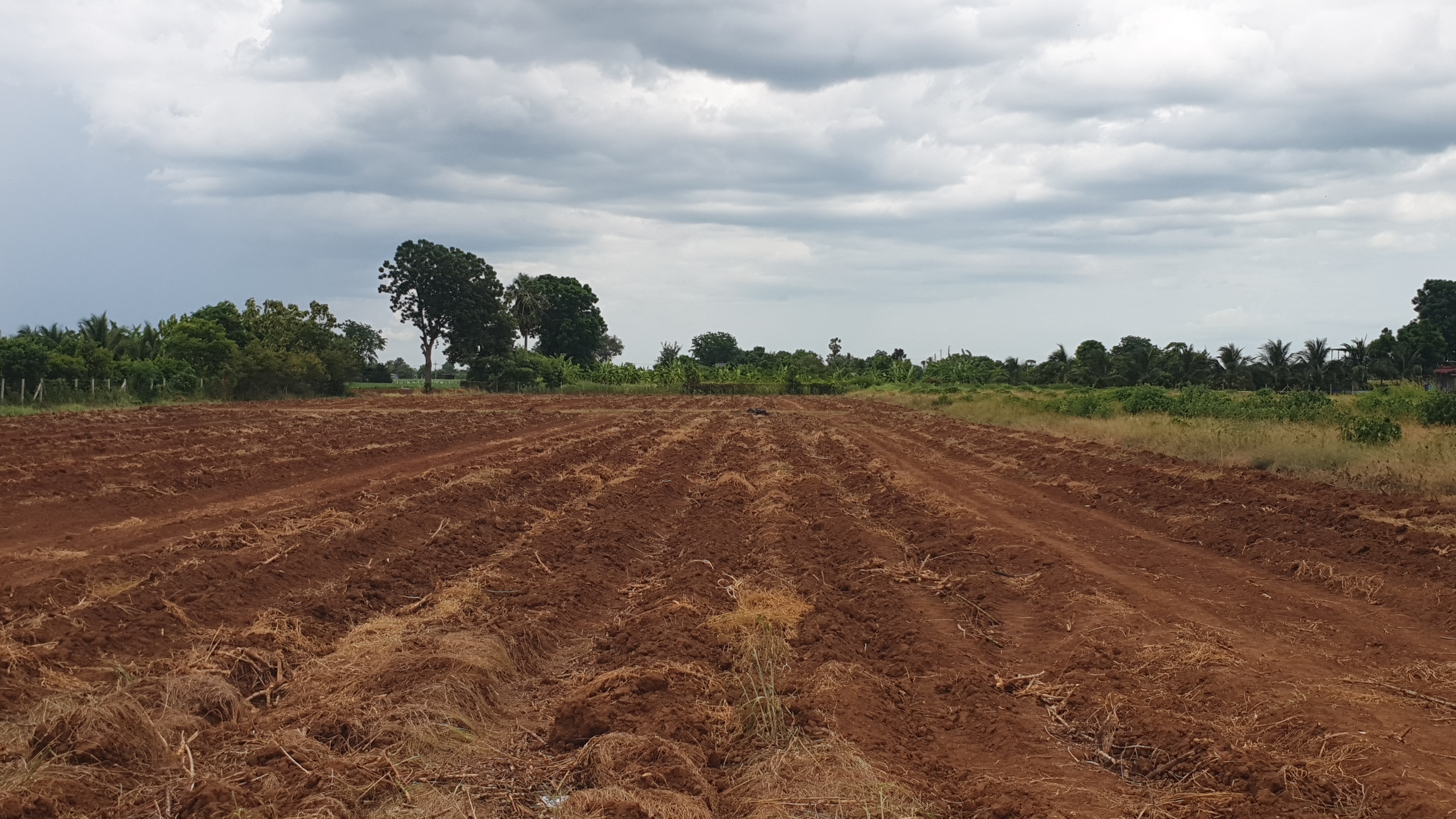 ขายที่ดินวิวภูเขา 180° อ.อู่ทอง จ.สุพรรณบุรี ใกล้แลนด์มาร์คสำคัญใน อ.อู่ทอง เนื้อที่: 16 ไร่ 1 งาน 26.8 ตร.ว. | ราคาไร่ละ 308,888 บาท ต.พลับพลาไชย อ.อู่ทอง จ.สุพรรณบุรี