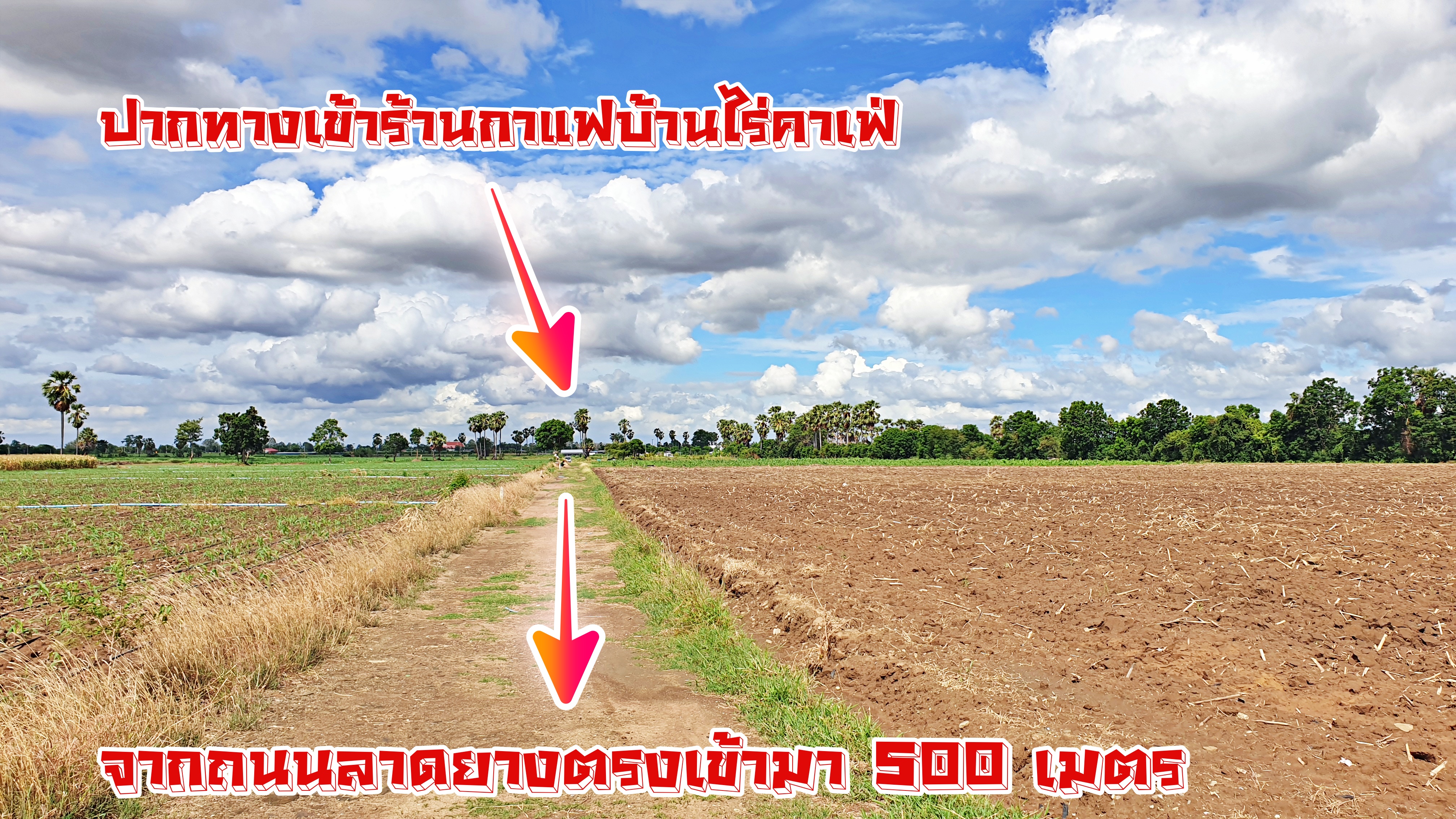 💰ขายแล้ว💰ขายที่ดินแปลงสวย วิวภูเขา อ.อู่ทอง จ.สุพรรณบุรี เนื้อที่ : 8 ไร่ ไร่ละ 250,000 บาท ที่สวยบรรยากาศดี วิวทิวทัศน์สวยงาม วิวภูเขา ใกล้แหล่งชุมชน ⚜จากถนนลาดยางเข้ามาประมาณ 500 เมตร อยู่ใกล้ชุมชน วัด ตลาดนัด ร้านค้า โรงเรียน ติด