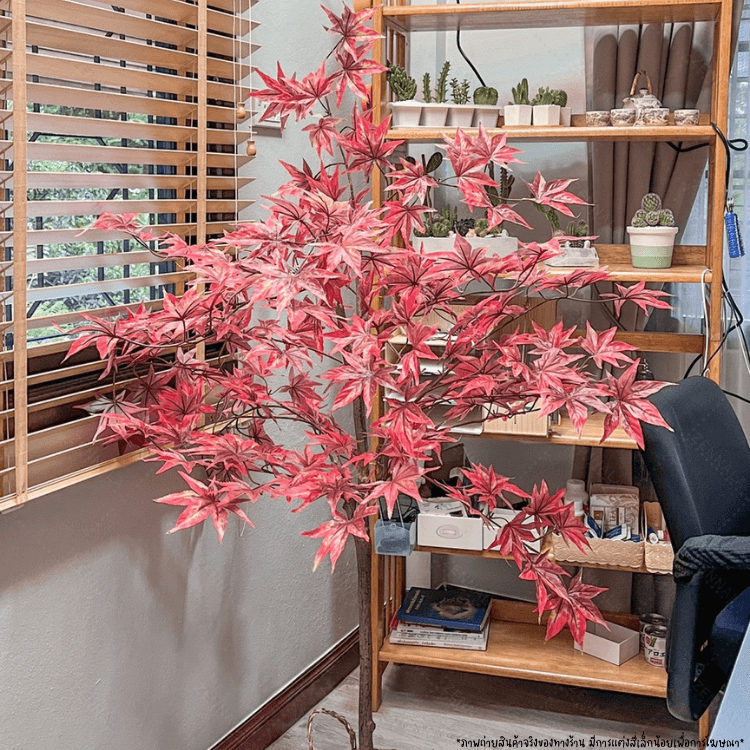 ต้นเมเปิ้ลปลอม red maple พร้อมกระถางดำ🌲150cm.