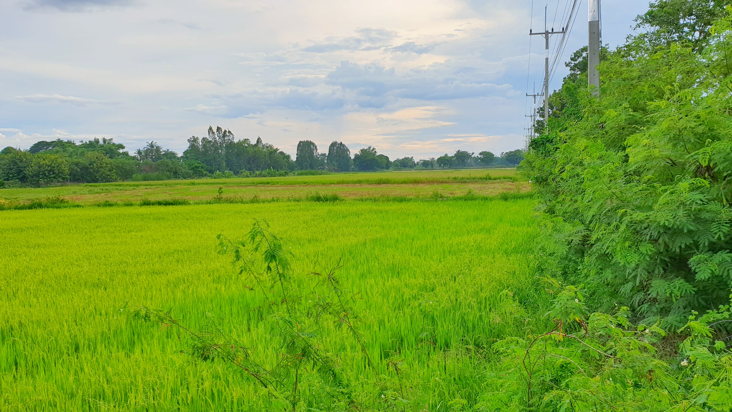 💰ขายแล้ว💰ขายที่ดินแปลงสวยเมืองสุพรรณบุรี ติดถนนใหญ่ 4 เลน เลี่ยงเมืองสุพรรณบุรีสาย 357 เนื้อที่ 6 ไร่ 1 งาน ที่สวย ทำเลทอง