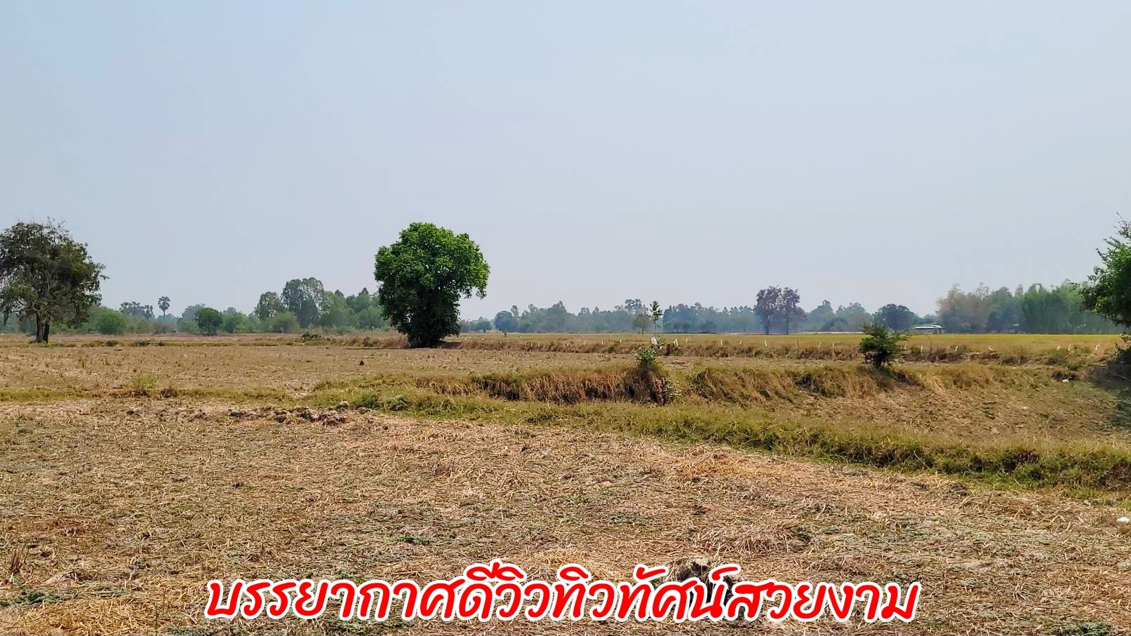 ðāļāļīāļāļāļĢāļąāļāļĒāđð āļĢāļĩāļāļāļĨāļąāļāļāļ°āļāđāļāļ āļāļēāļĒāļāļĩāđāļāļīāļāļāļāļāļāļēāļāļŦāļĨāļ§āļāđāļāđāļāļāļīāļ 333 āļāļđāđāļāļāļ-āļŠāļĢāļ°āļāļĢāļ°āđāļāļĄ (āđāļāļĢāļāļāļēāļĢāļāļĒāļēāļĒ 4 āđāļĨāļāđāļĢāđāļ§āđāļāļĩāđ) āđāļāļ·āđāļāļāļĩāđ 4 āđāļĢāđ 3 āļāļēāļ 92 āļāļēāļĢāļēāļāļ§āļē āļāļēāļĒāđāļĢāđāļĨāļ° 949,000 āļāļēāļ/āđāļĢāđ āļŦāļāđāļēāļāļ§āđāļēāļāļāļīāļāļāļāļ 48 āđāļĄāļāļĢāļĨāļķāļ 147 āđāļĄāļāļĢ āļāļģāđāļĨāļāļĩāļāļēāļĒāļāļđāļ āļāđāļēāļāđāļāļĩāļĒāļ āļāļēāļĒāđāļĢāđāļĨāļ° 1.5 āļĨāđāļēāļ