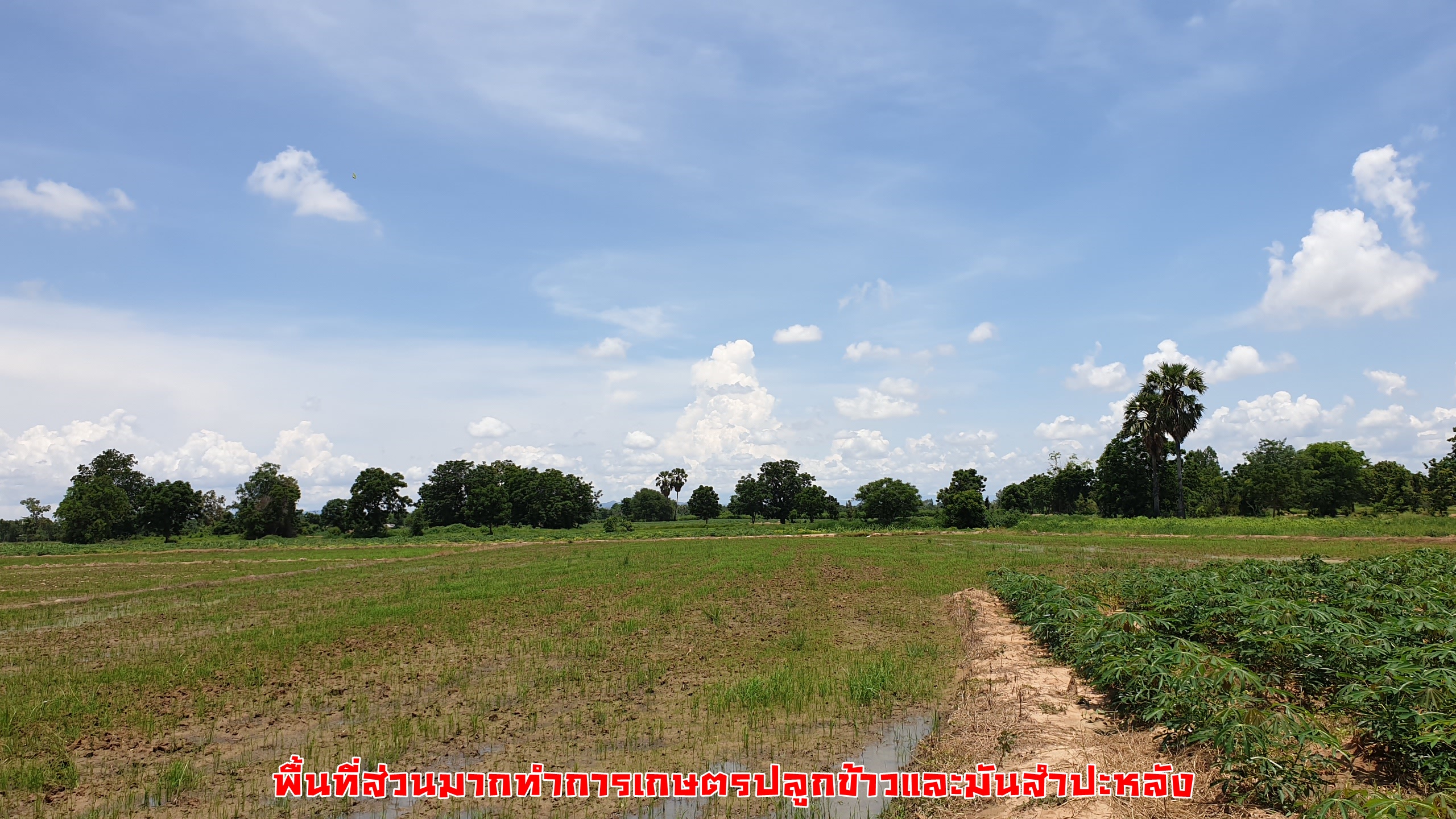 ขายที่ดินราคาถูก ดินดี น้ำดี ติดคลองใหญ่ อ.เลาขวัญ จ.กาญจนบุรี เนื้อที่ 29 ไร่ ไร่ละ 1.3 แสน อยู่ในแหล่งชุมชน ใกล้วัด ใกล้โรงเรียน รถยนต์ ไฟฟ้า นํ้า เข้าถึง