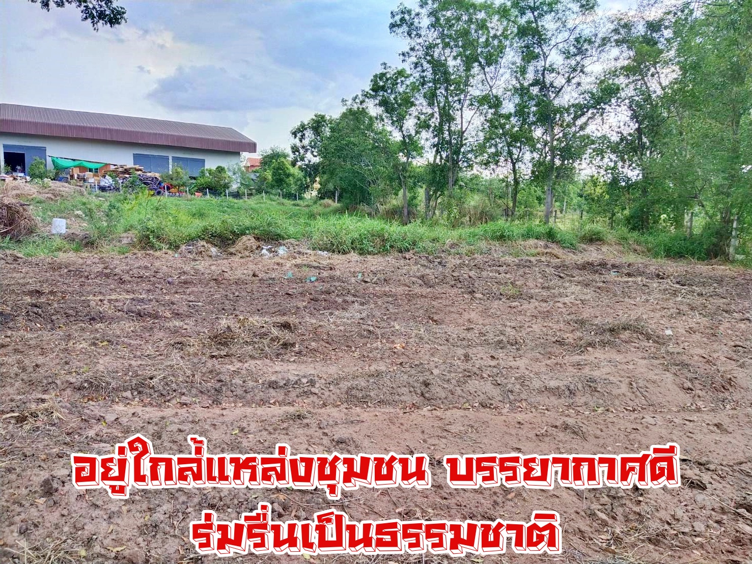 ขายที่ดิน ทำเลดี ต.โคกสูง จ.นครราชสีมา ใกล้ รร.บุญเหลือ ถนนสุรนารายณ์ 1-2-72 ไร่ ขายยกแปลง 5.6 ล้านที่สวย ทำเลดี สาธารณูปโภคครบครัน ใกล้แหล่งชุมชน ติดถนนคอนกรีตกว้าง รถวิ่งสวนได้สบาย เข้า-ออก ได้หลายช่องทาง