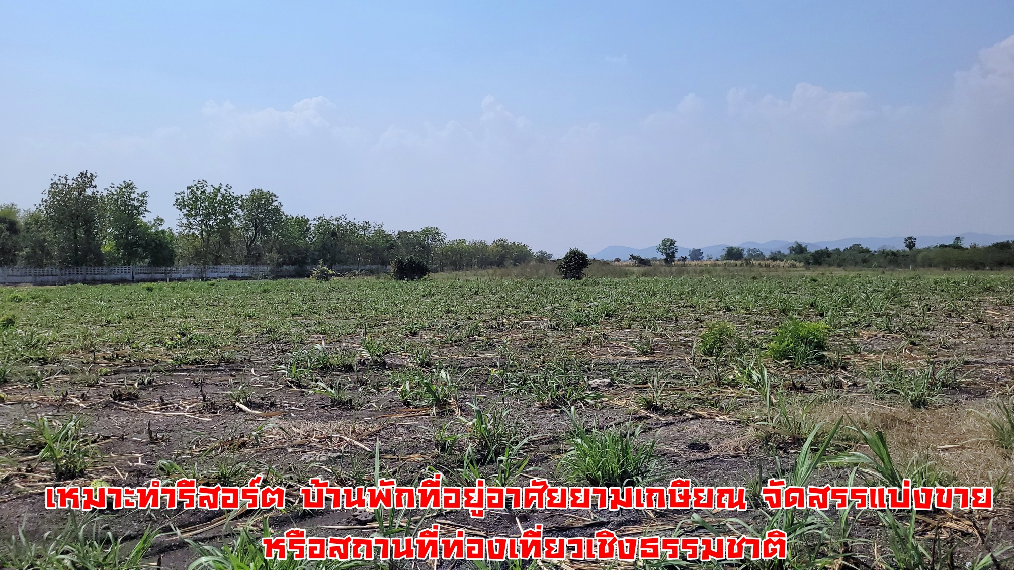 #ขายแล้ว ขายที่ดินแปลงสวย วิวภูเขา ติดถนนลาดยาง ทางสาธารณะ 2 ด้าน ใกล้สถานที่ท่องเที่ยว ตลาดสีเขียว ณ สวนสวรรค์สุพรรณบุรี ทุ่งทานตะวัน ทุ่งดอกกระเจียว ต.พลับพลาชัย อ.อู่ทอง จ. สุพรรณบุรี เนื้อที่ 25 ไร่ ไร่ละ 300,000 บ.