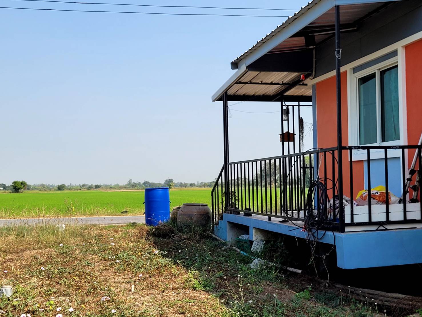 💰ขายแล้ว💰ขายบ้านเดี่ยวบ้านสวน พร้อมสวนมะม่วงน้ำดอกไม้สีทอง เนื้อที่ 2 ไร่ 3 งาน 72 ตรว ต.สนามคลี อ.เมือง จ.สุพรรณบุรี . ติดถนนลาดยาง หน้ากว้าง 24 เมตร ลึกยาว 200 เมตร 🍁มะม่วงน้ำดอกไม้สีทองประมาณ 250 ต้น อา