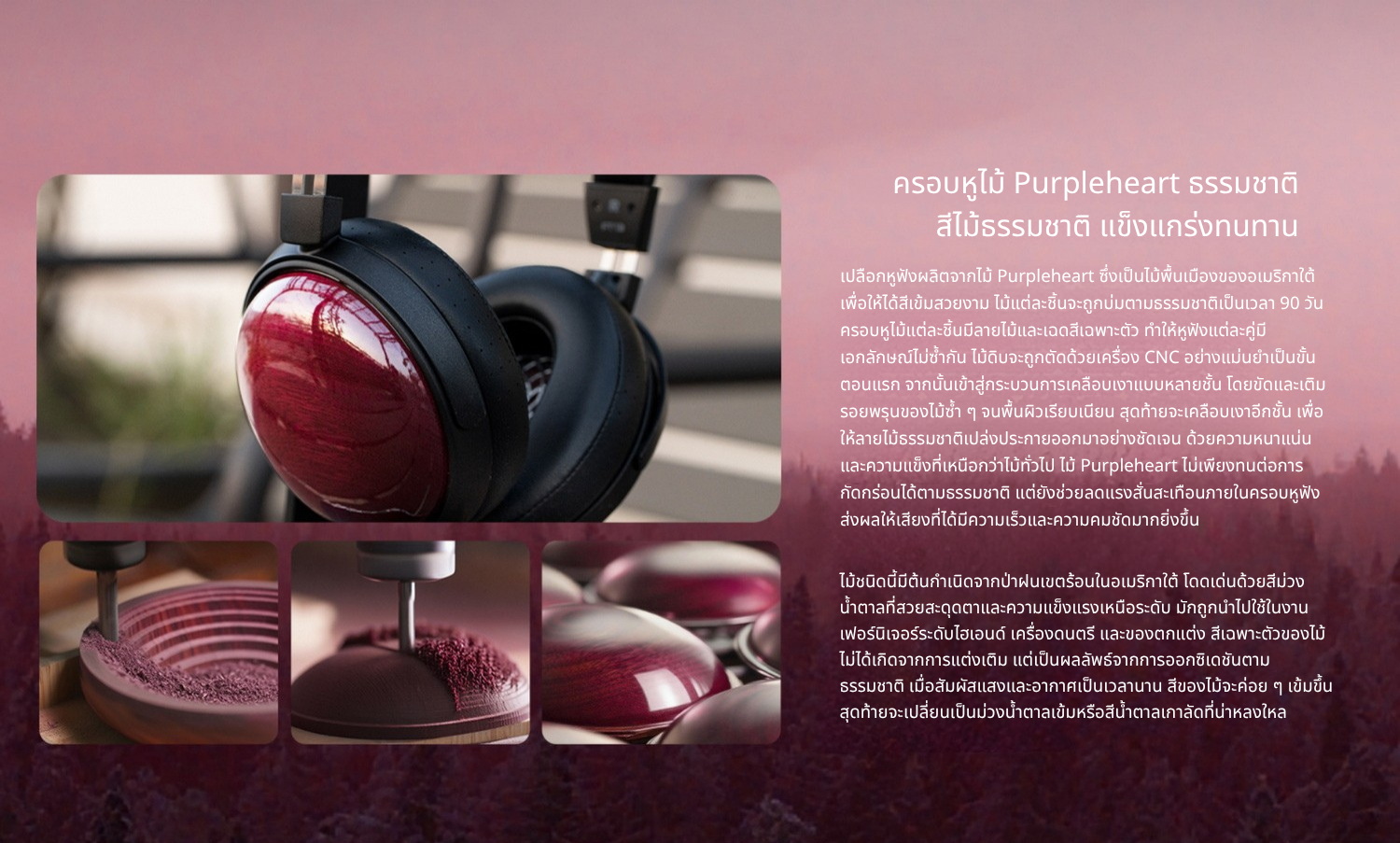 FiiO FT13 หูฟังเฮดโฟนบอดี้ไม้ สัมผัสหรูหรา คุณภาพเสียงที่เป็นเอกลักษณ์ ประกันศูนย์ไทย