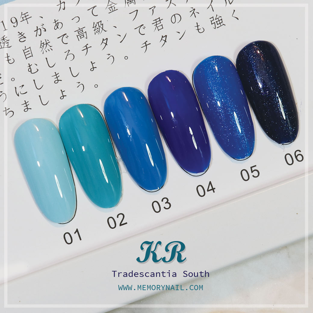 สีเจลทาเล็บ KR ชุด6สี ฟ้าน้ำเงิน Tradescantia South