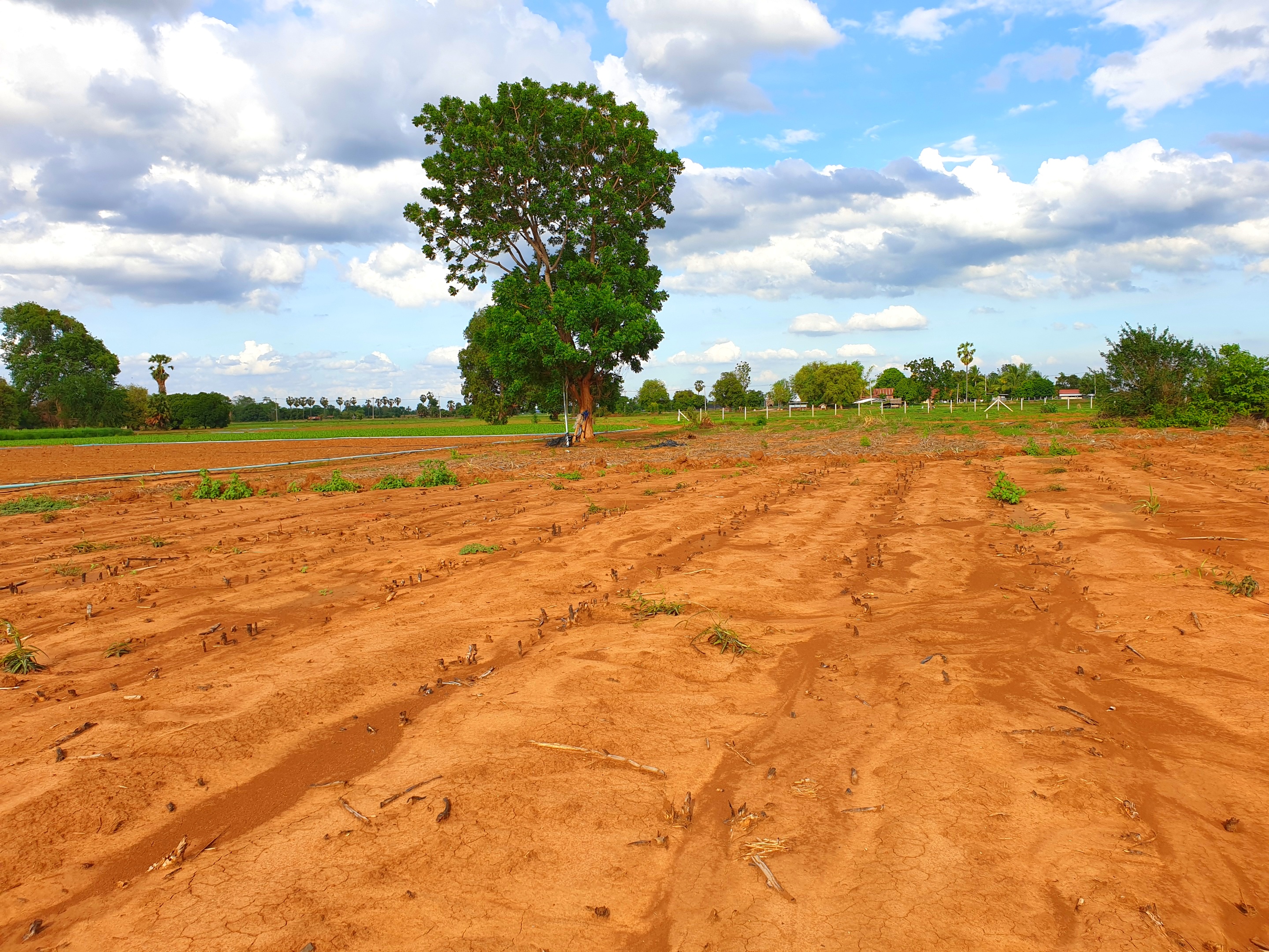 💰ขายแล้ว💰ขายที่ดินสวยราคาถูก อ.อู่ทอง จ.สุพรรณบุรี ดินดี ที่สวย บรรยากาศดี วิวภูเขา เนื้อที่ 16 ไร่ ไร่ละ 180,000 บ. อยู่ใกล้ชุมชน วัด ตลาดนัด ร้านค้า โรงเรียน
