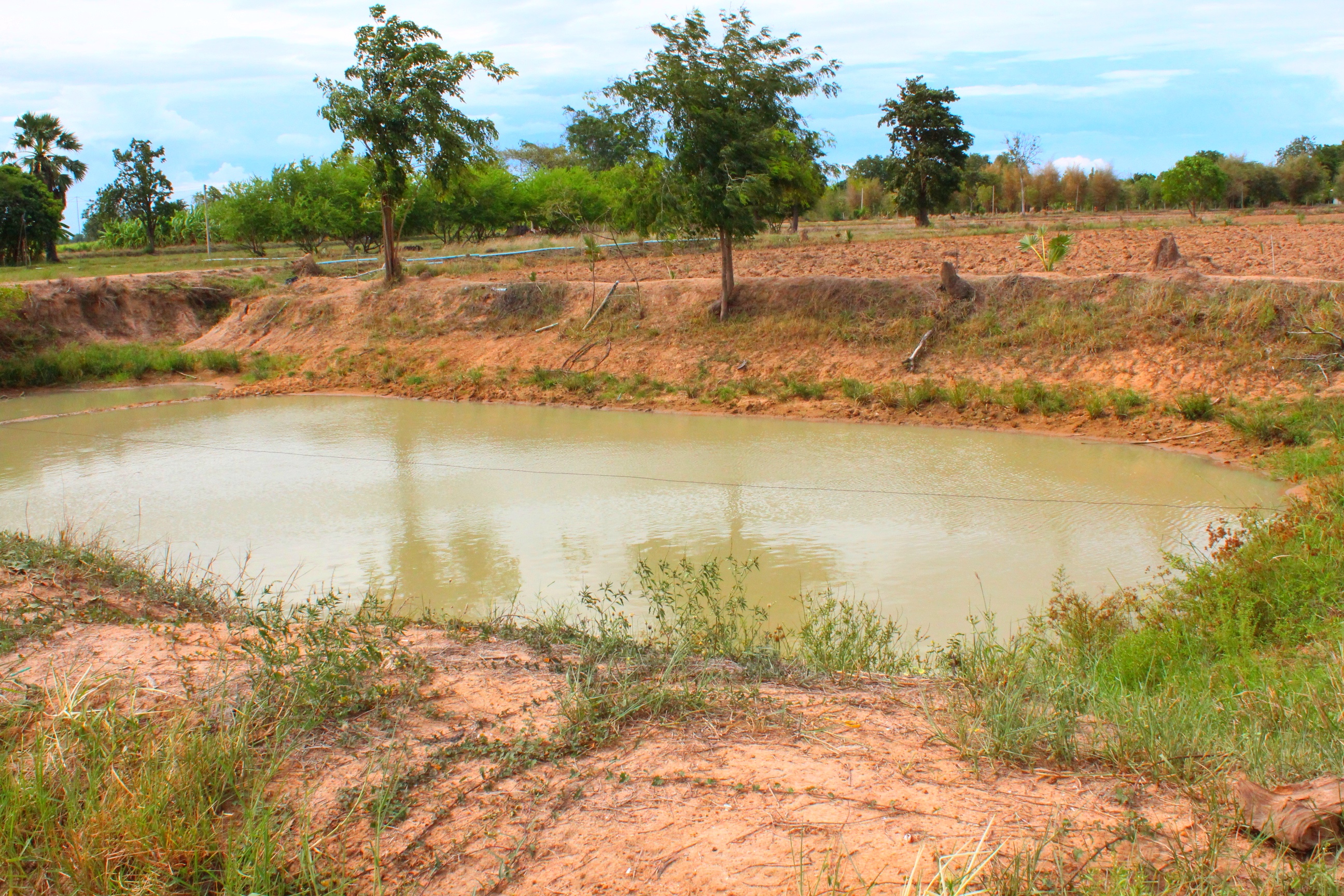 ขายทีดินเปล่า ที่สวย บรรยากาศดี อ.อู่ทอง จ.สุพรรณบุรี เนื้อที่ 37 ไร่ 2 งาน ไร่ละ 165,000 บ. ที่สวยบรรยากาศดี วิวทิวทัศน์สวยงาม ใกล้แหล่งชุมชน