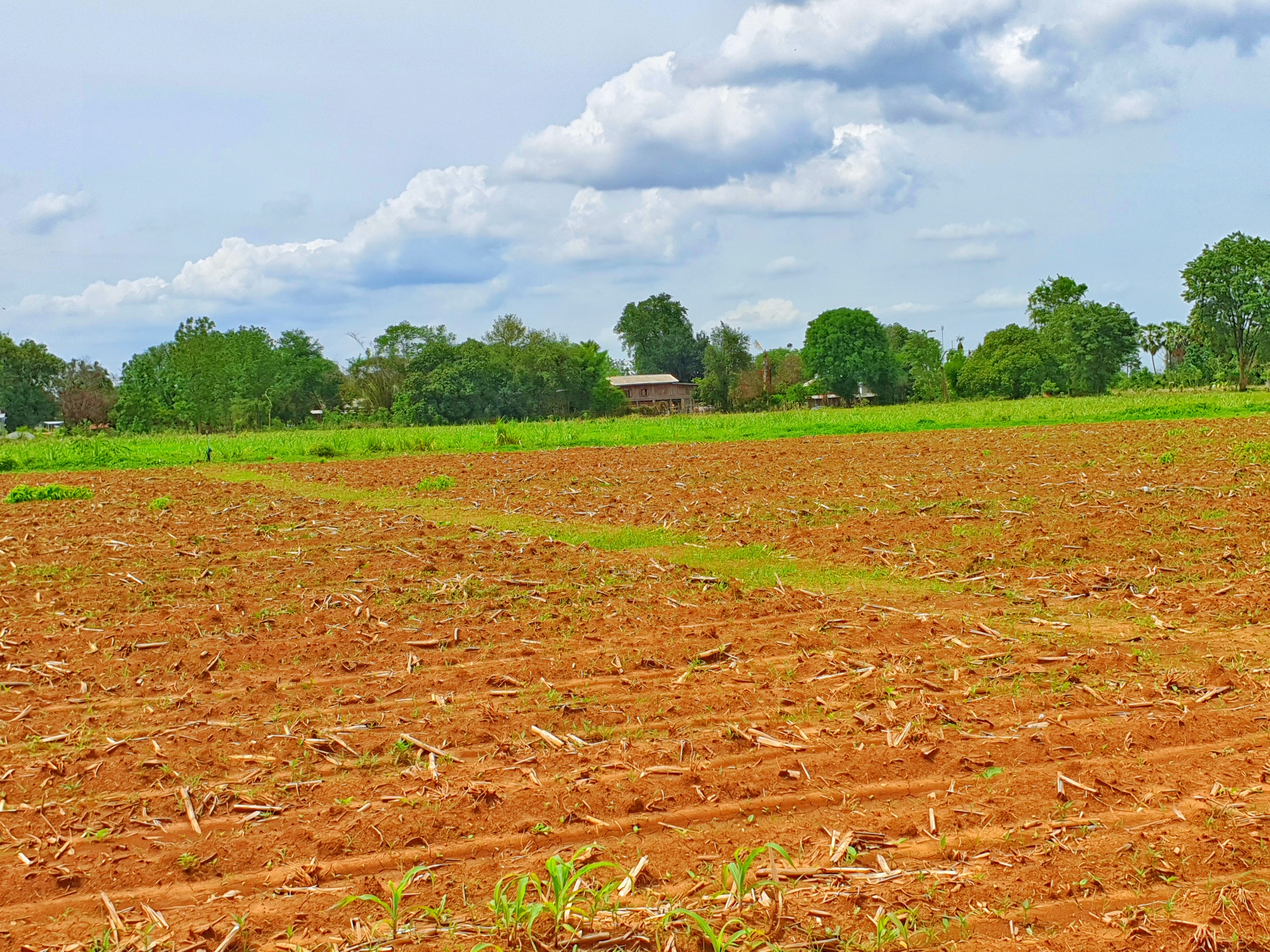 💰ขายแล้ว💰ขายที่ดินติดถนนลาดยาง วิวภูเขา อ.อู่ทอง จ. สุพรรณบุรี เนื้อที่ 9-3-18 ไร่ ขายไร่ละ 2.5 แสน ที่สวยบรรยากาศดี วิวทิวทัศน์สวยงาม ใกล้แหล่งชุมชน น้ำไฟเข้าถึง