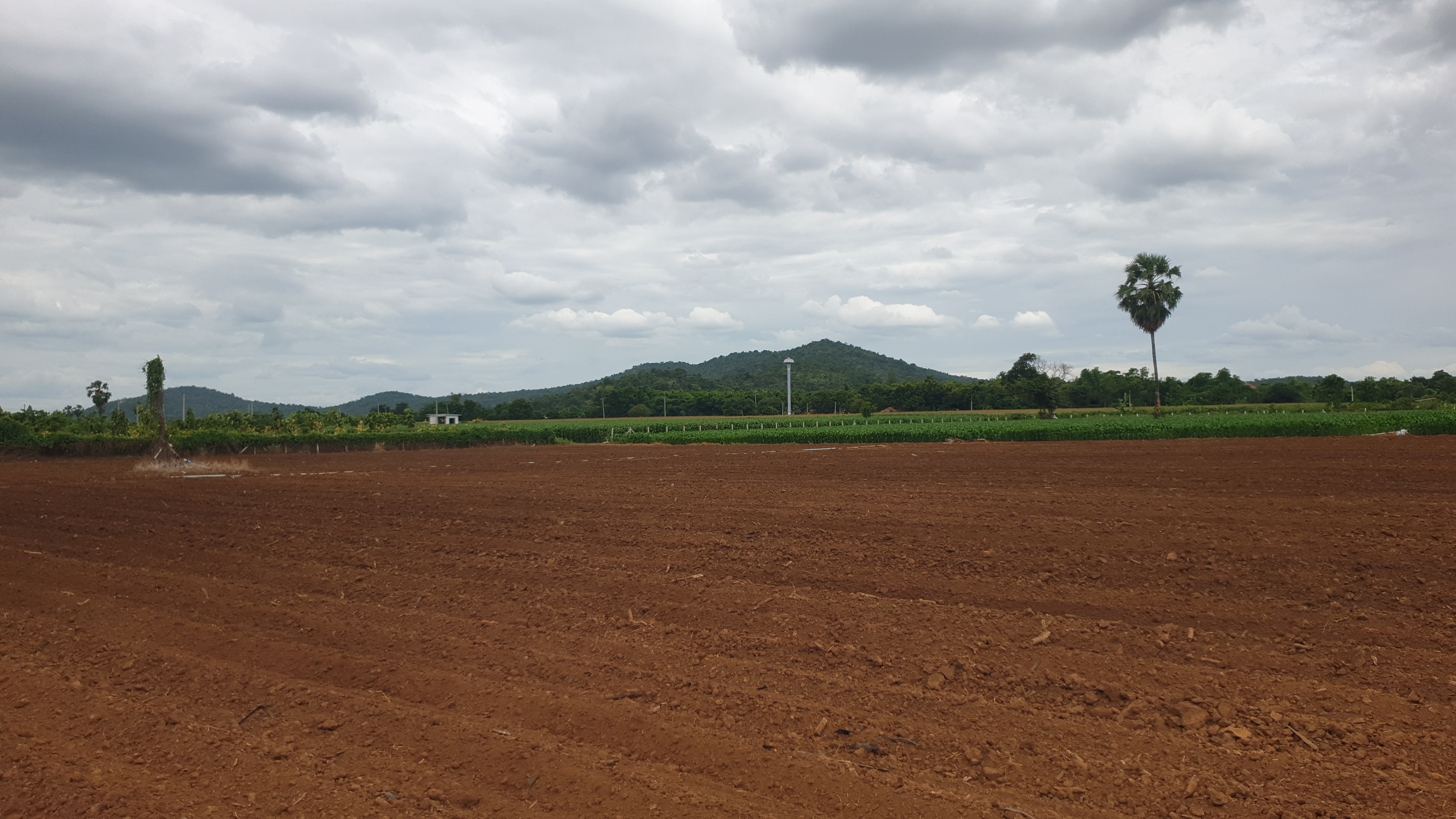 ขายที่ดินสวย 12 ไร่ 2 งาน 53.5 ตร.ว. หน้ากว้างติดถนนสาธารณะ 193 ม. วิวภูเขา 180° อากาศดี เงียบสงบ เหมาะทำบ้านพัก รีสอร์ต หรือเกษตรครบวงจร โอบล้อมด้วยทิวเขา 180° วิวอลังการเต็มตา บรรยากาศธรรมชาติสุดฟิน