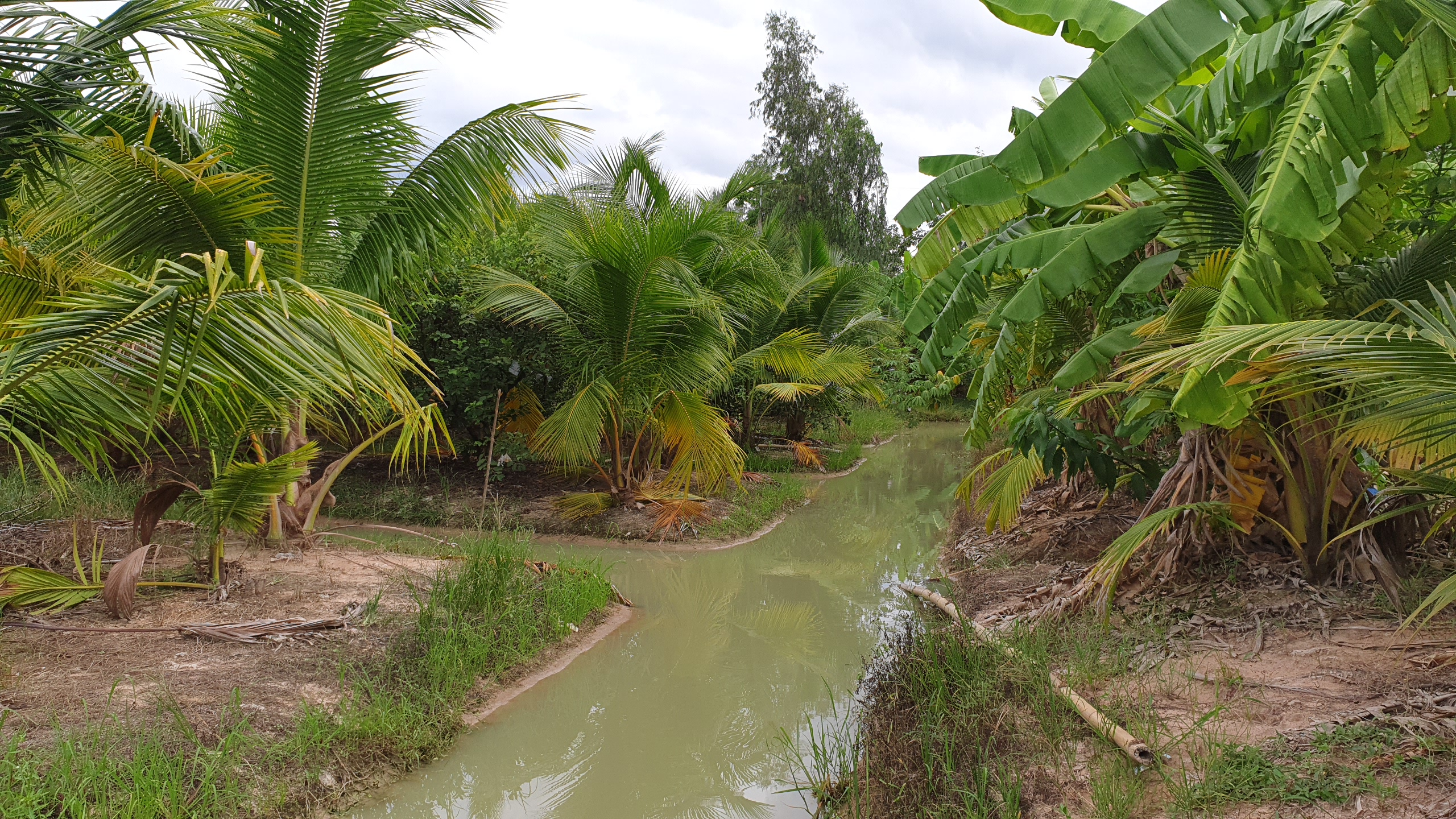 💰ขายแล้ว💰ขายที่ดินสวนมะพร้าวน้ำหอม อ.อู่ทอง จ.สุพรรณบุรี เนื้อที่ 20 ไร่ พร้อมบ้านสวยพร้อมอยู่ ขายยกแปลง 12 ล้าน บรรยากาศดี สงบ ร่มรื่น น้ำท่า อุดมสมบูรณ์