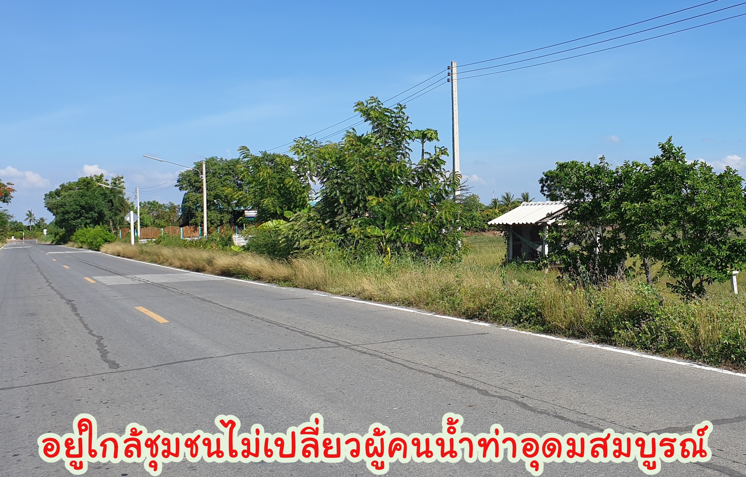 🌌ติดทรัพย์🌌ขายที่ดินติดถนนลาดยาง อ.เมือง จ.สุพรรณบุรี เนื้อที่ 4 ไร่ 2 งาน หน้ากว้างติดถนน 36 เมตร ลึก 195 เมตร อยู่ใกล้ แหล่งน้ำคลองมะขามเฒ่า น้ำอุดมสมบุรณ์ตลอดปี อยู่ใกล้ชุมชน เหมาะปลูกบ้านทำสวนเกษตร ยามเกษียณ หรือเปิดร้านอาหารท่ามกลางธร