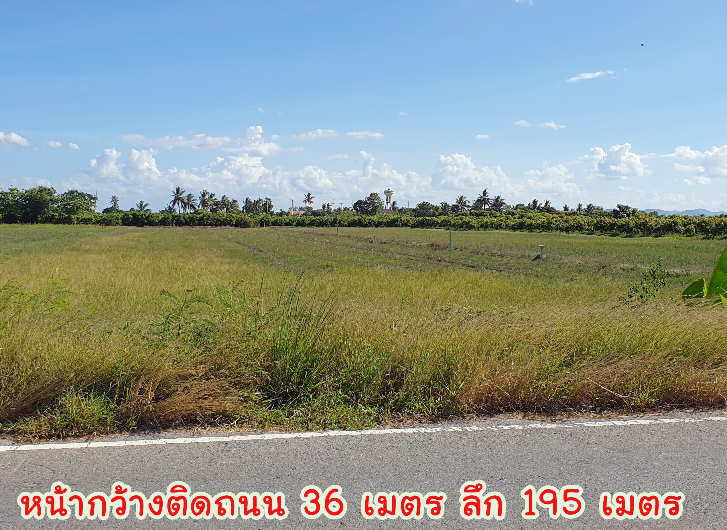 🌌ติดทรัพย์🌌ขายที่ดินติดถนนลาดยาง อ.เมือง จ.สุพรรณบุรี เนื้อที่ 4 ไร่ 2 งาน หน้ากว้างติดถนน 36 เมตร ลึก 195 เมตร อยู่ใกล้ แหล่งน้ำคลองมะขามเฒ่า น้ำอุดมสมบุรณ์ตลอดปี อยู่ใกล้ชุมชน เหมาะปลูกบ้านทำสวนเกษตร ยามเกษียณ หรือเปิดร้านอาหารท่ามกลางธร