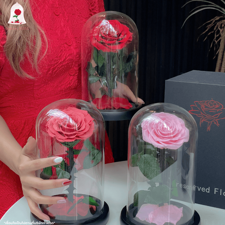 กุหลาบสดในโหลแก้ว 3 ขนาด Size S, M, L พร้อมกล่องสุด Premium