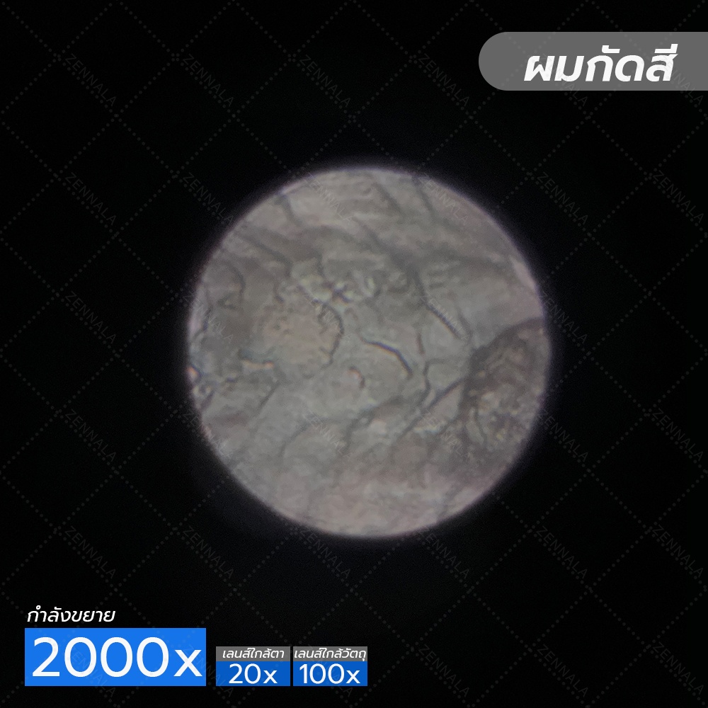 กล้องจุลทรรศน์ Trinocular 2000x ระบบ Infinity มีช่องต่อกล้อง ต่อจอเสริม รุ่น CM2000