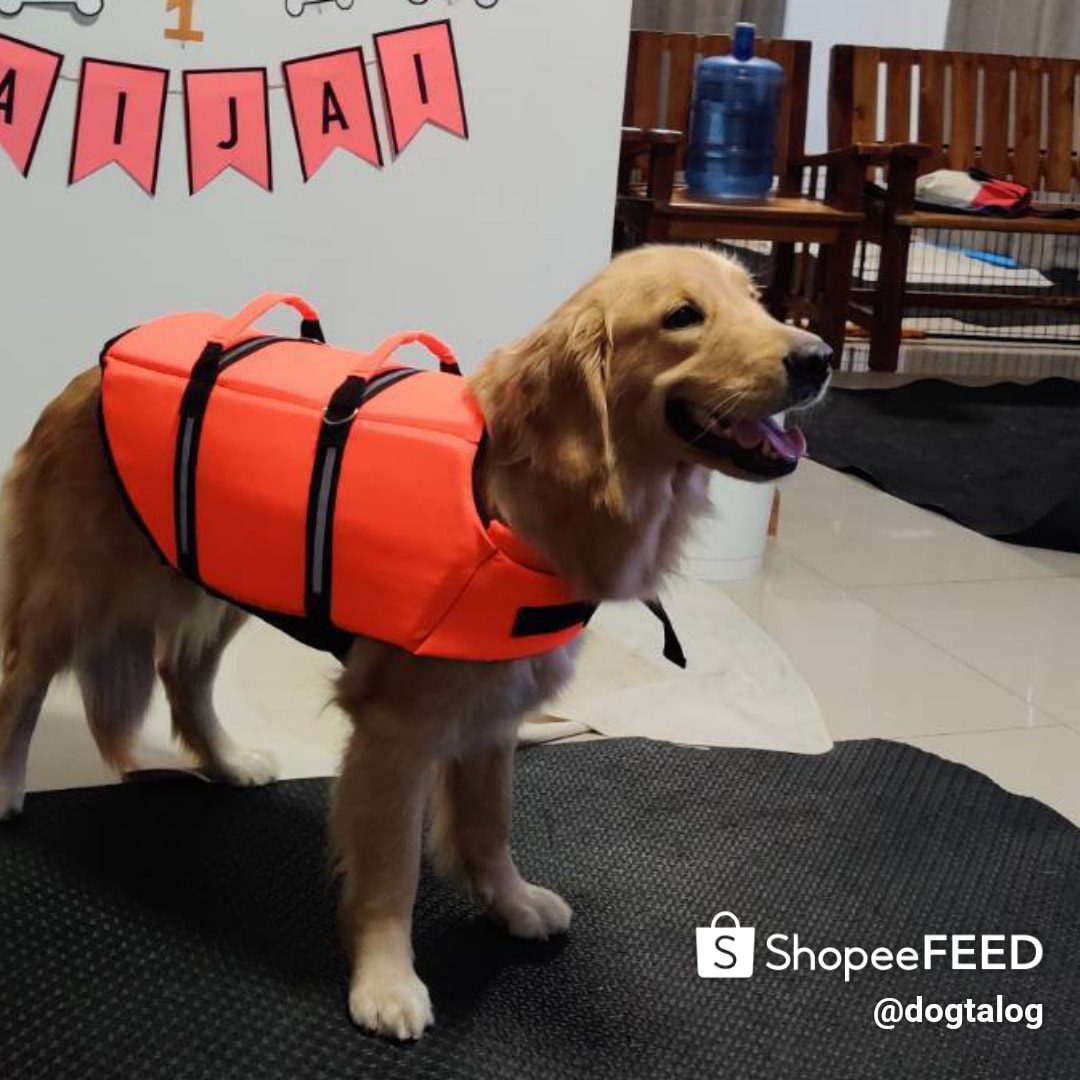 เสื้อชูชีพสุนัข Dogtalog เบอร์ XL