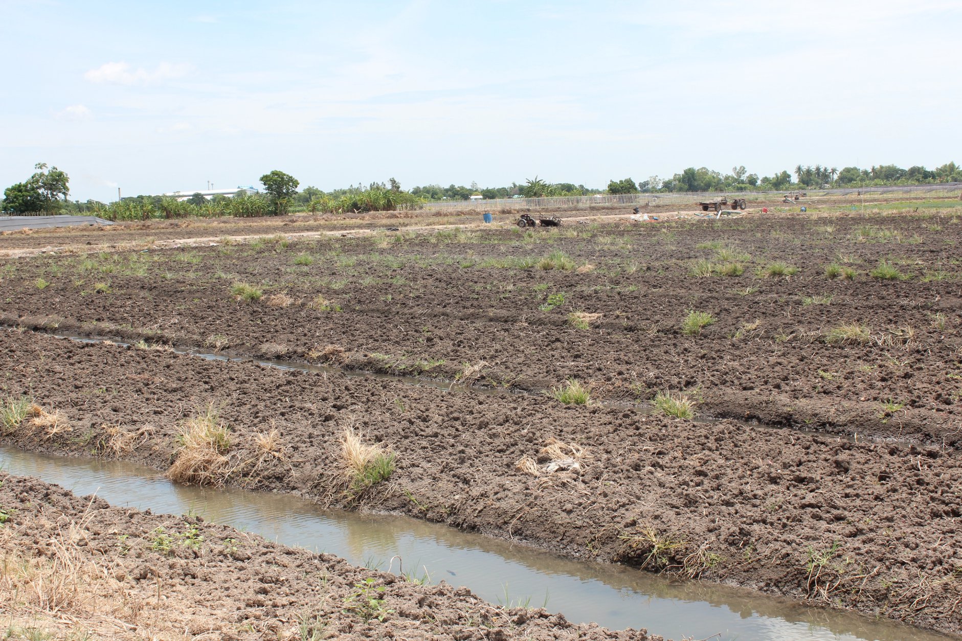 🍄ติดทรัพย์🍄ขายที่ดิน อ.อู่ทอง สุพรรณบุรี ใกล้สวนสวรรค์ ตลาดสีเขียวสุพรรณบุรี 37 ไร่ 1 งาน 93 ตรว ขายยกแปลง 9 ล้าน สถานที่ท่องเที่ยวชมพืชพันธุ์ดอกไม้ ทุ่งทานตะวัน มีถนนตัดผ่านรอบพื้นที่ ทำทางถนนรอบที่ ให้เรียบร้อย มีบ่อบาดาลในที่ 2 บ่อ มีคล