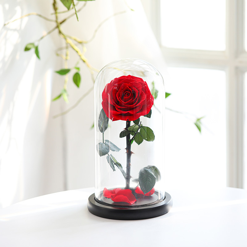 กุหลาบสดในโหลแก้ว Size L (18x32cm) พร้อมกล่องสุด Premium