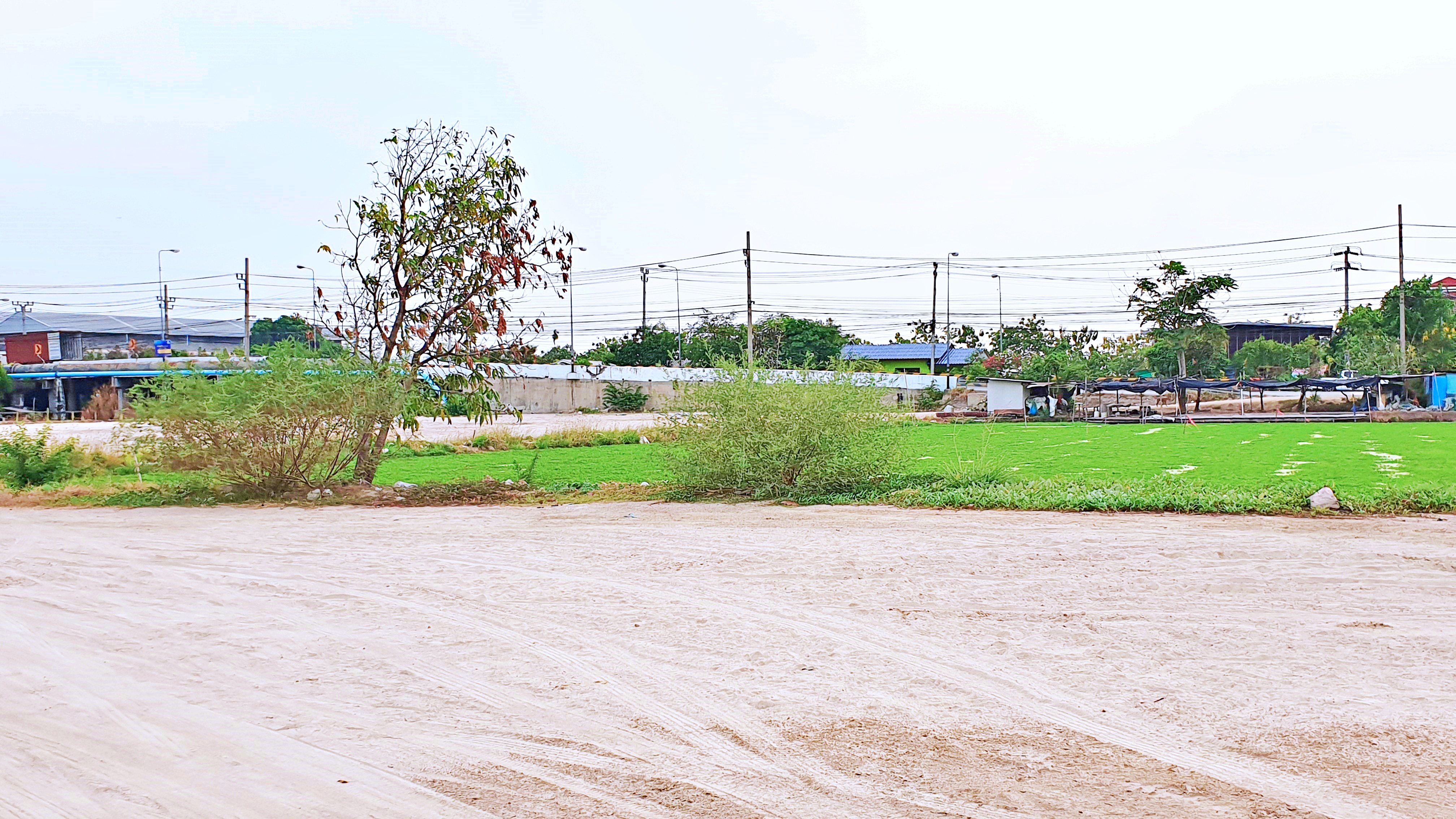 ขายที่ดินแปลงสวย ทำเลดี ติดถนนใหญ่ 4 เลน ถนนวัดศรีวารีน้อย บางนาตราด กม. 17 ลาดกระบัง 54 ขนาดที่ดิน 2 ไร่ 3 งาน 97 ตรว (ตรว.ละ45,000 บาท) หน้ากว้างติดถนนใหญ่ 65 เมตร ที่ดินสวยเป็นรูปทรงสี่เหลี่ยมจัตรัส การเดินทาง สะดวก สบาย สามารถเข้าออกได้ 2 ทาง ถนนบางนา