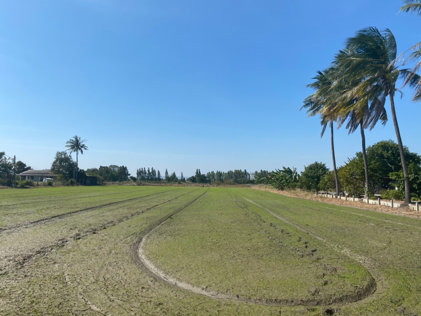 💰ขายแล้ว💰ขายที่ดินติดถนนลาดยาง อ.เมือง จ.สุพรรณบุรี 4 ไร่ 56 ตรว ทำเลดี ที่สวย บรรยากาศดี วิวทิวทัศน์สวยงาม ขายยกแปลง 1,800,000 บ. ติดถนนทางสาธารณประโยชน์ ลาดยาง 2 ด้าน