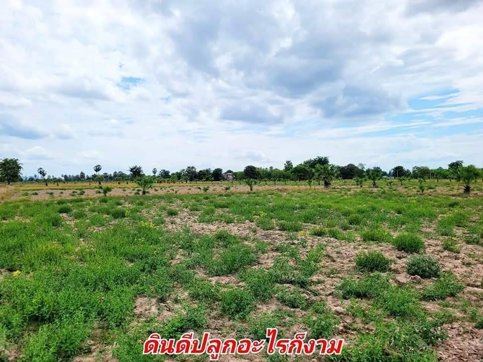 ขายทีดินเปล่า ที่สวย บรรยากาศดี อ.อู่ทอง จ.สุพรรณบุรี เนื้อที่ 37 ไร่ 2 งาน ไร่ละ 165,000 บ. ที่สวยบรรยากาศดี วิวทิวทัศน์สวยงาม ใกล้แหล่งชุมชน