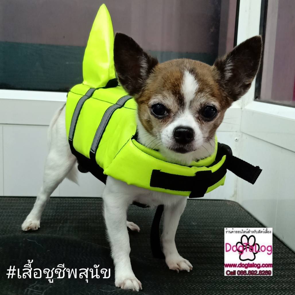 เสื้อชูชีพสุนัขแบบหางฉลาม สีเขียว
