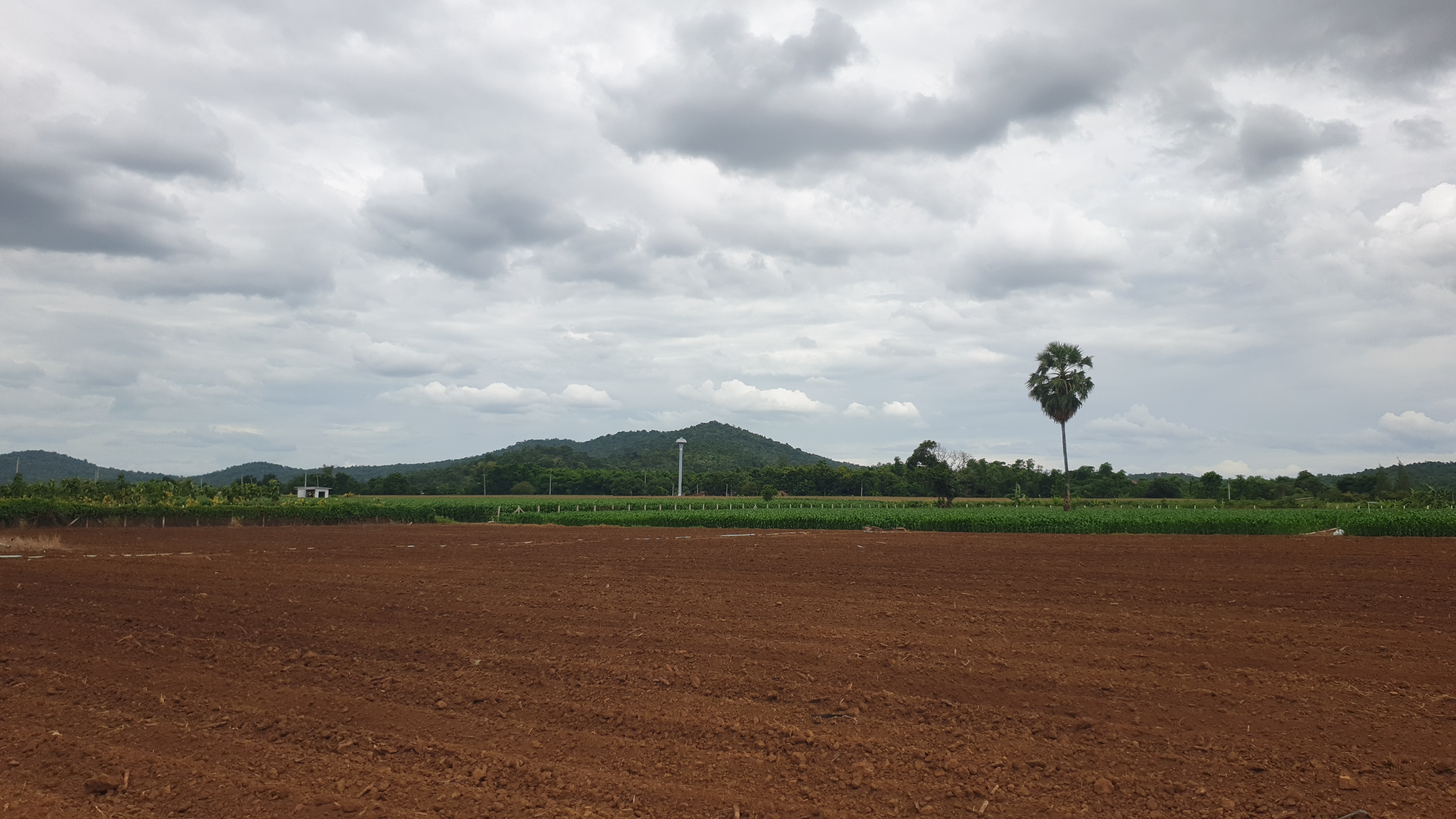 ขายที่ดินสวย 12 ไร่ 2 งาน 53.5 ตร.ว. หน้ากว้างติดถนนสาธารณะ 193 ม. วิวภูเขา 180° อากาศดี เงียบสงบ เหมาะทำบ้านพัก รีสอร์ต หรือเกษตรครบวงจร โอบล้อมด้วยทิวเขา 180° วิวอลังการเต็มตา บรรยากาศธรรมชาติสุดฟิน