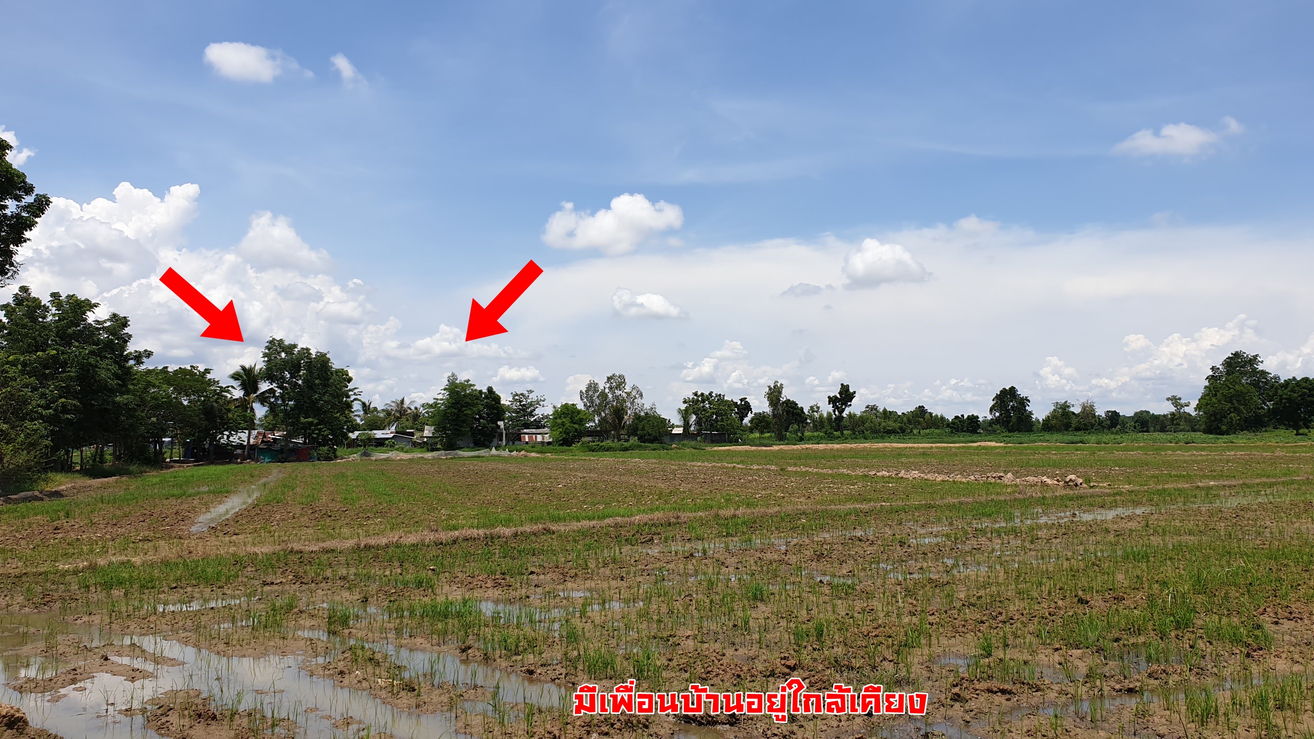 ขายที่ดินราคาถูก ดินดี น้ำดี ติดคลองใหญ่ อ.เลาขวัญ จ.กาญจนบุรี เนื้อที่ 29 ไร่ ไร่ละ 1.3 แสน อยู่ในแหล่งชุมชน ใกล้วัด ใกล้โรงเรียน รถยนต์ ไฟฟ้า นํ้า เข้าถึง