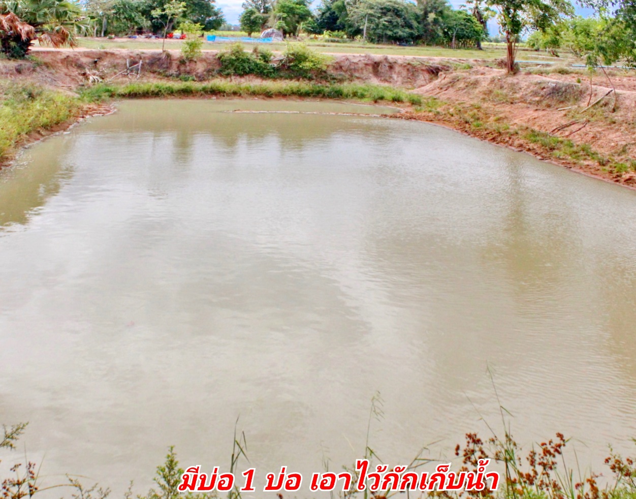 ขายทีดินเปล่า ที่สวย บรรยากาศดี อ.อู่ทอง จ.สุพรรณบุรี เนื้อที่ 37 ไร่ 2 งาน ไร่ละ 165,000 บ. ที่สวยบรรยากาศดี วิวทิวทัศน์สวยงาม ใกล้แหล่งชุมชน